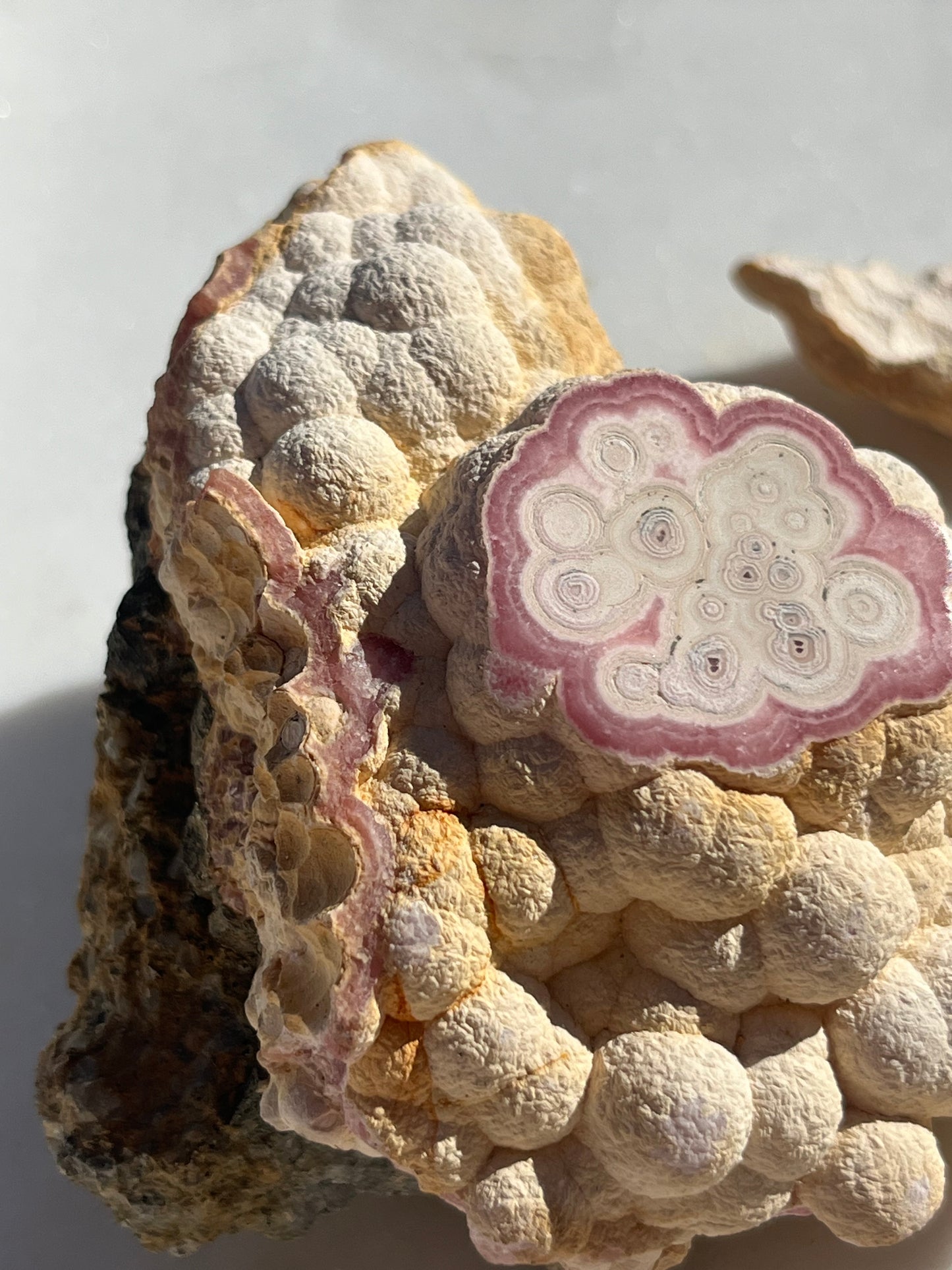 ‘Moonrock’ Botryoidal Rhodochrosite Specimen w/Cap #3