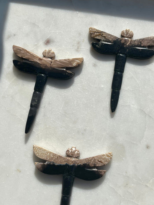 Fossilised Palm Root Dragonfly Carving (You Choose)