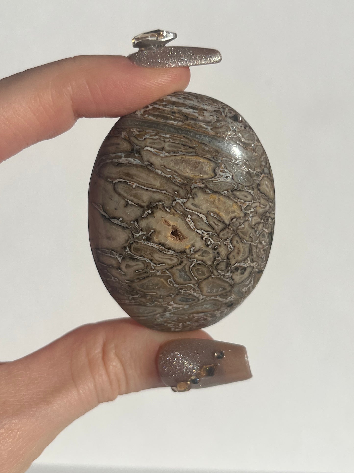 Agatised Dinosaur Fossil Palmstone A