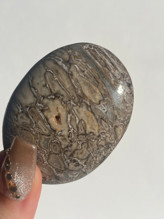 Agatised Dinosaur Fossil Palmstone A