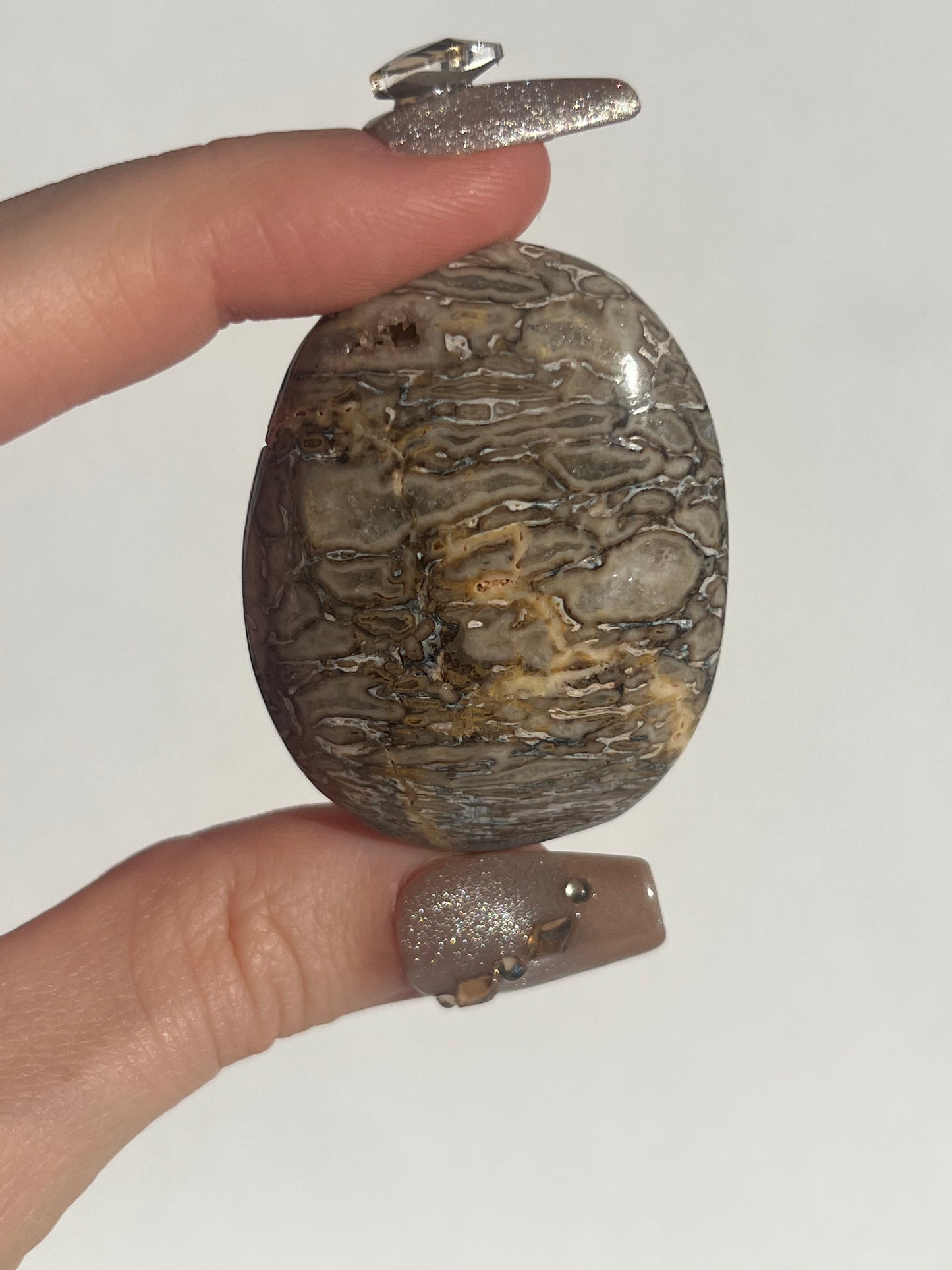 Agatised Dinosaur Fossil Palmstone B