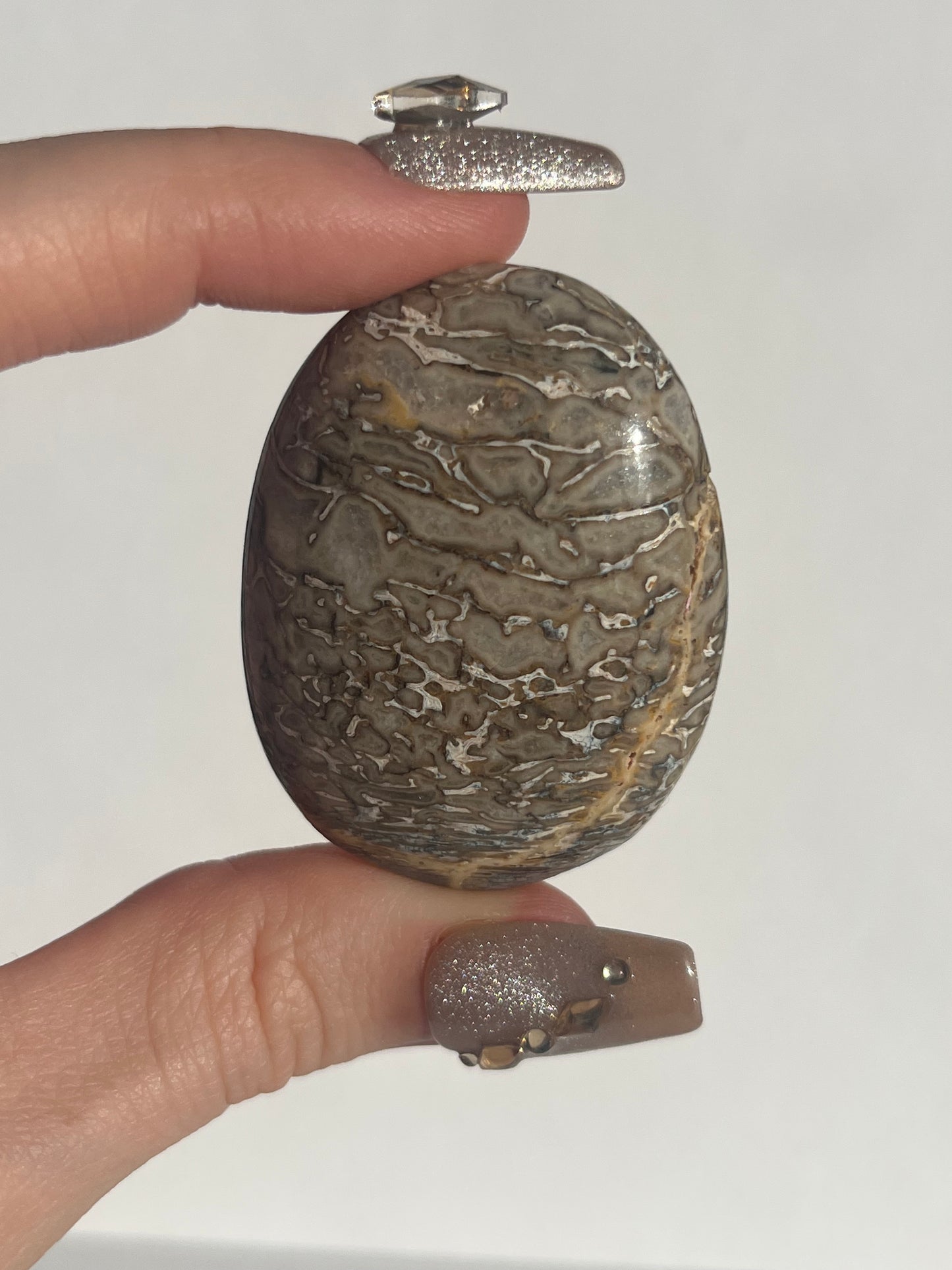 Agatised Dinosaur Fossil Palmstone B