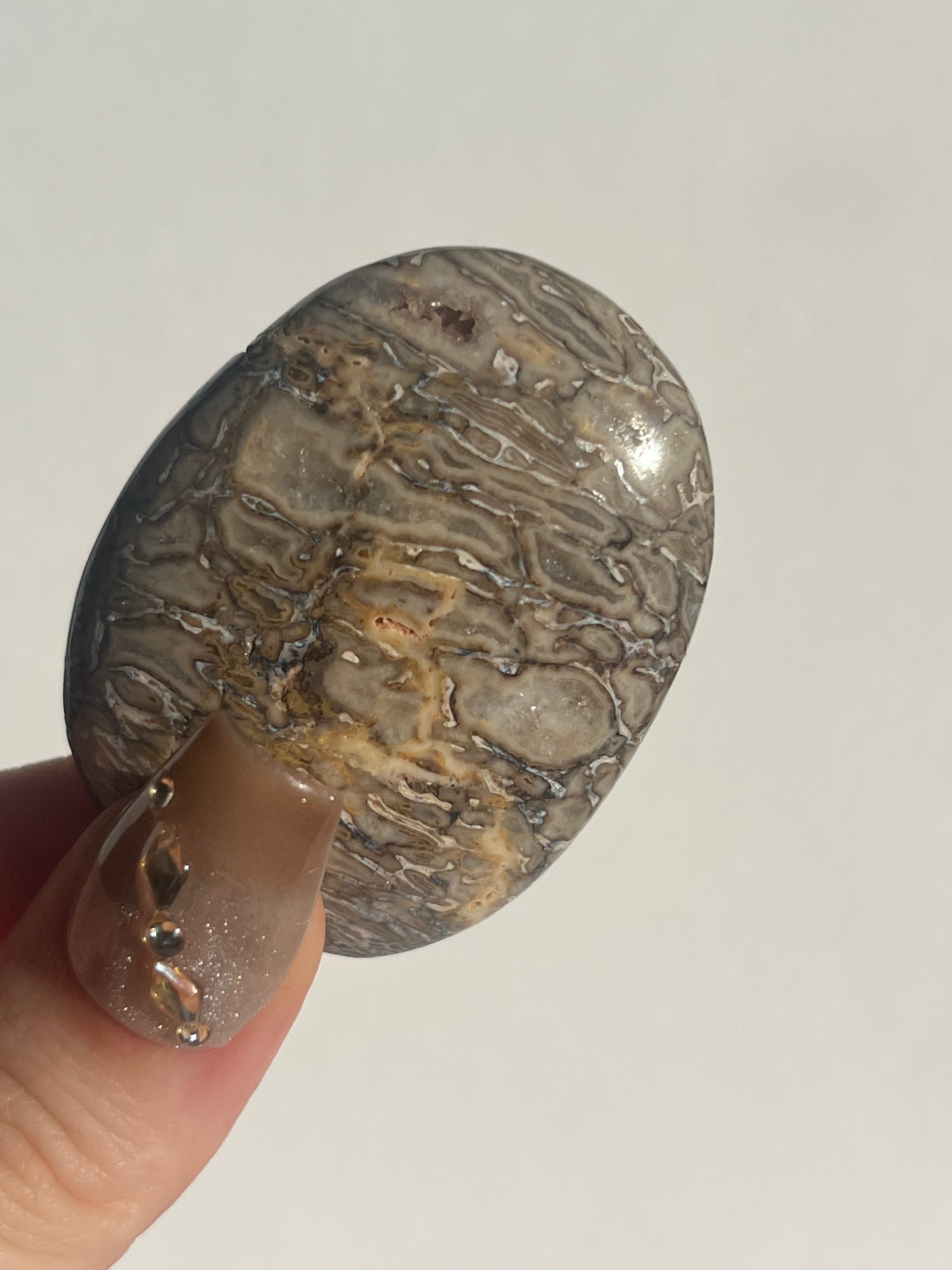 Agatised Dinosaur Fossil Palmstone B
