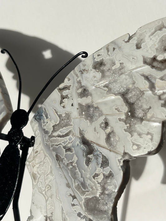 Druzy Snow Agate Butterfly Wings on Stand A