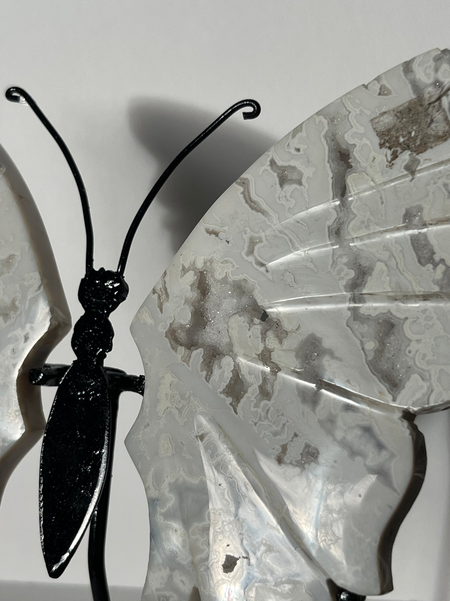 Druzy Snow Agate Butterfly Wings on Stand B