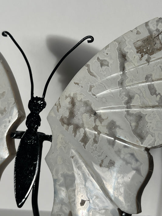 Druzy Snow Agate Butterfly Wings on Stand B