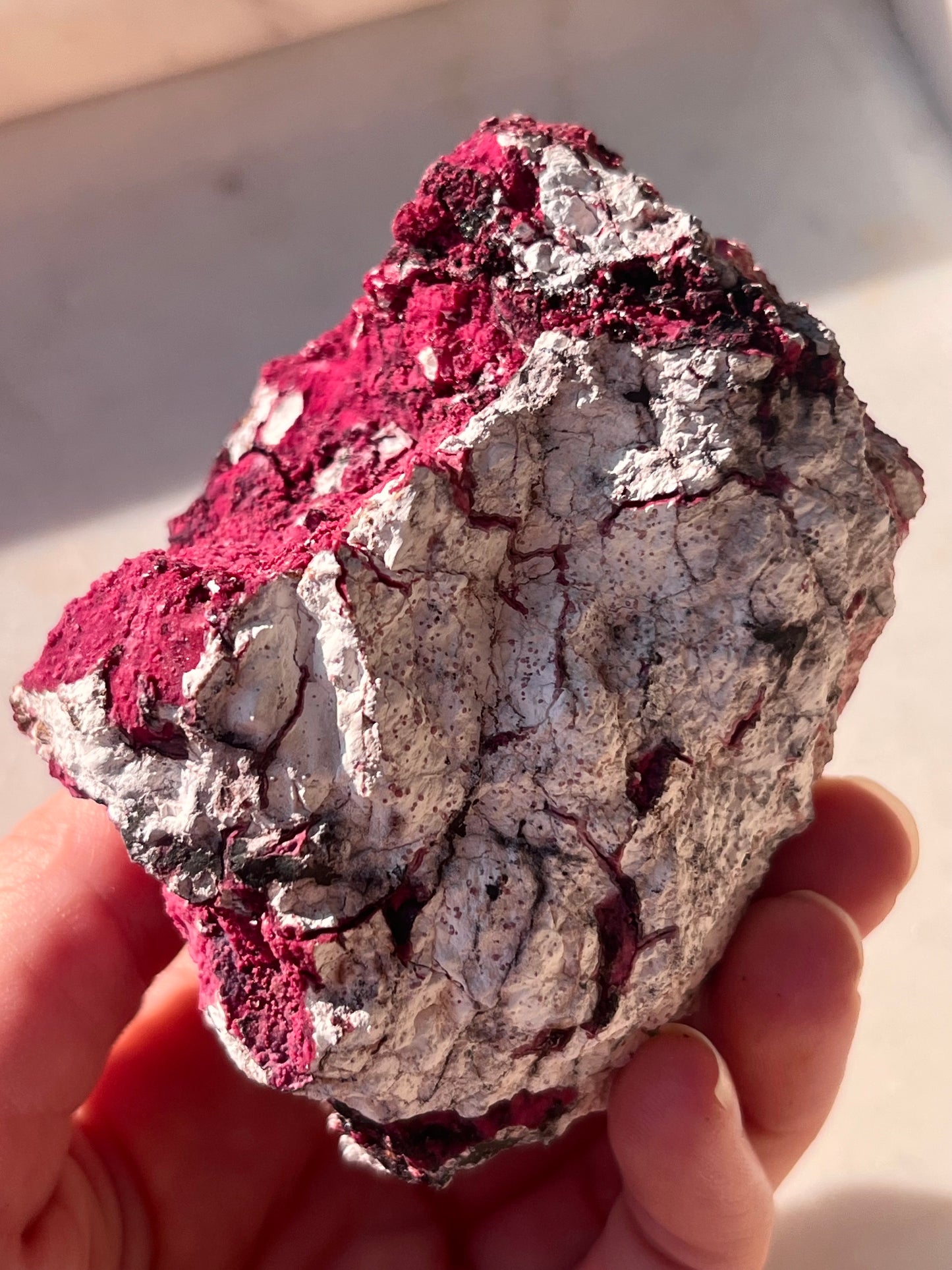 Rare “Red Velvet” Variscite in Limestone Specimen #2