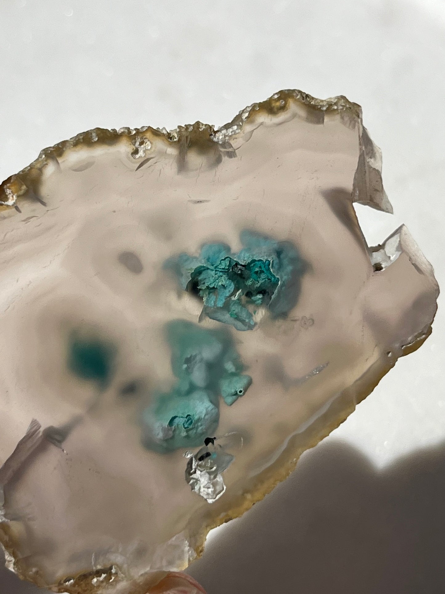 Chrysocolla in Chalcedony Slice w/Dendritic Inclusions