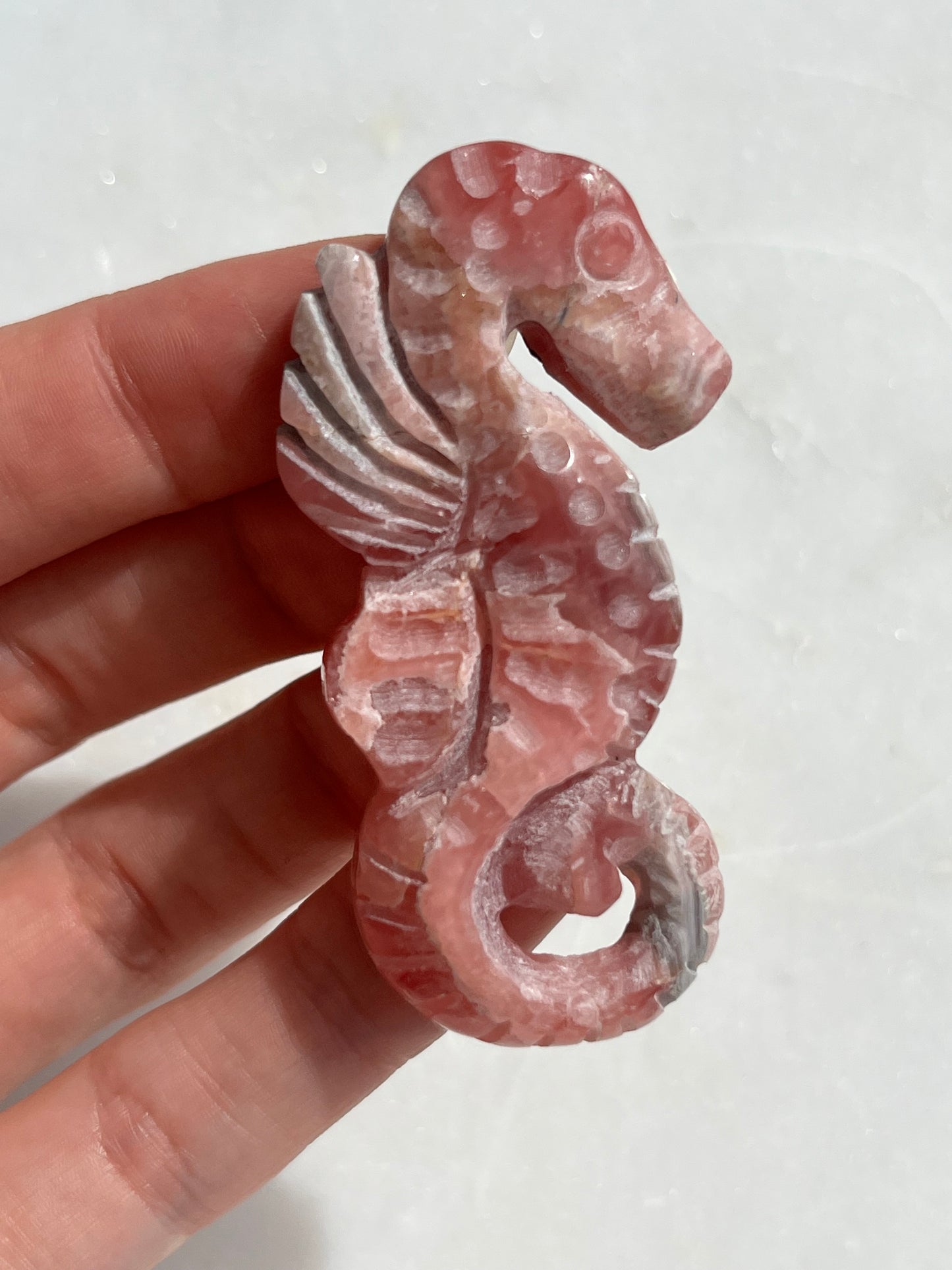 “Gerald” Rhodochrosite Seahorse Carving