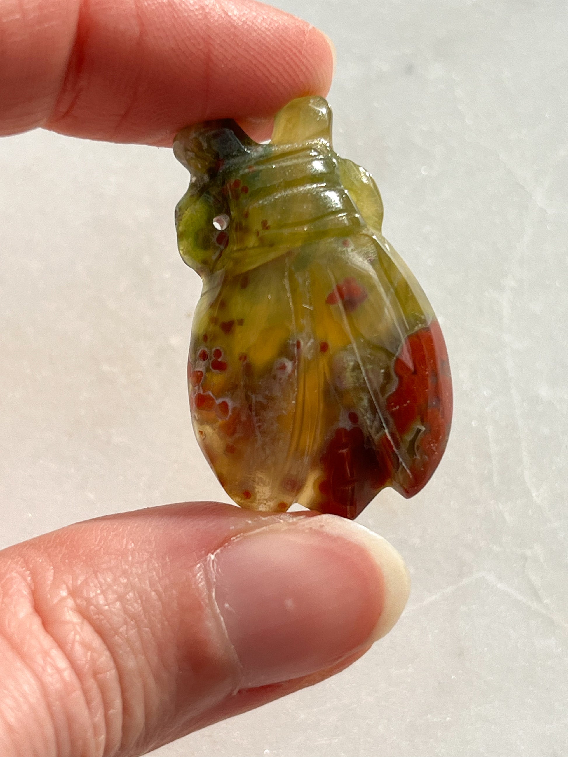 Jelly Orbicular Jasper Beetle Carving #2 _ Priestess Crystals