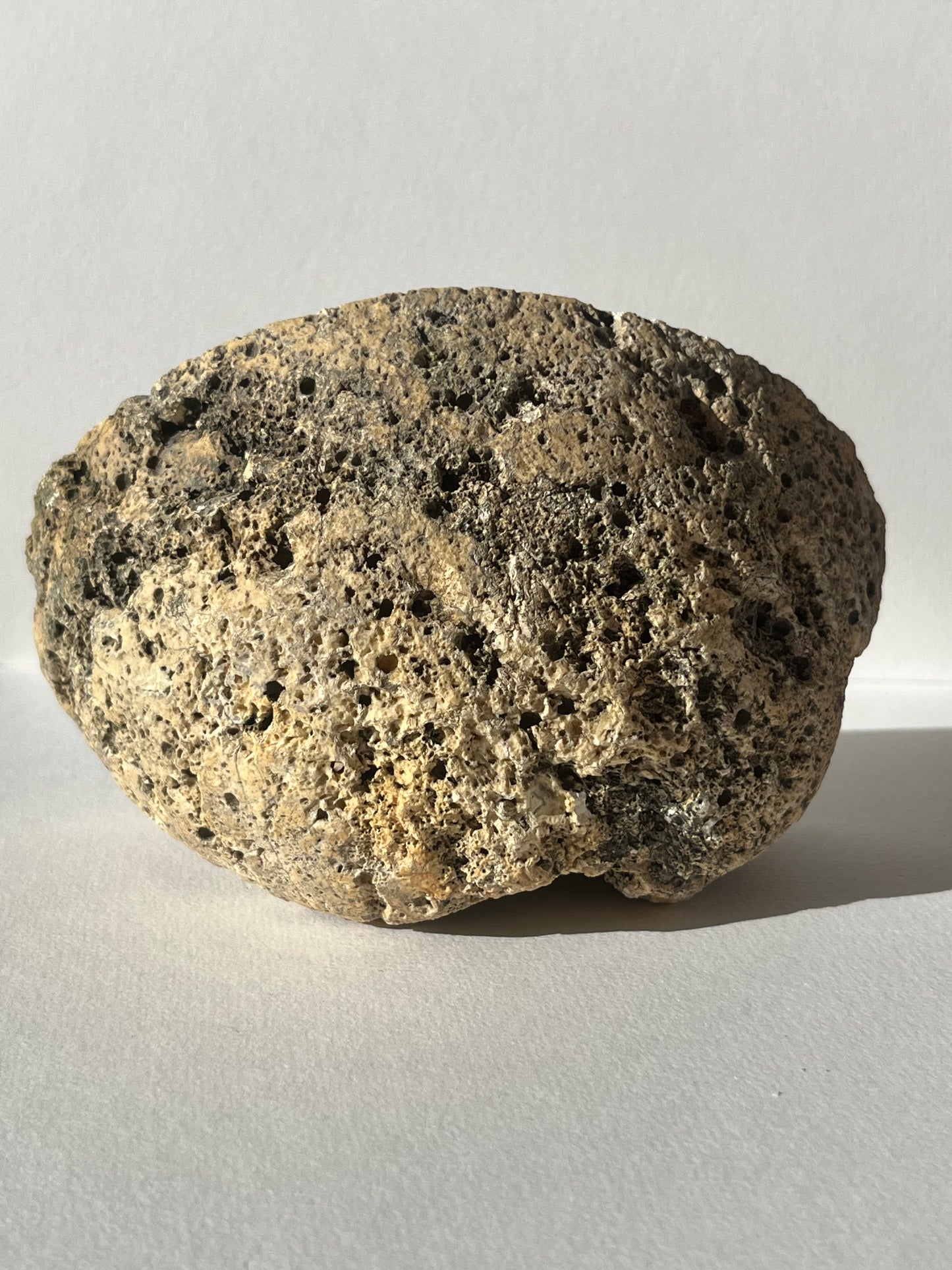 "Ceta" East Indonesian Agate Statement Nodule A