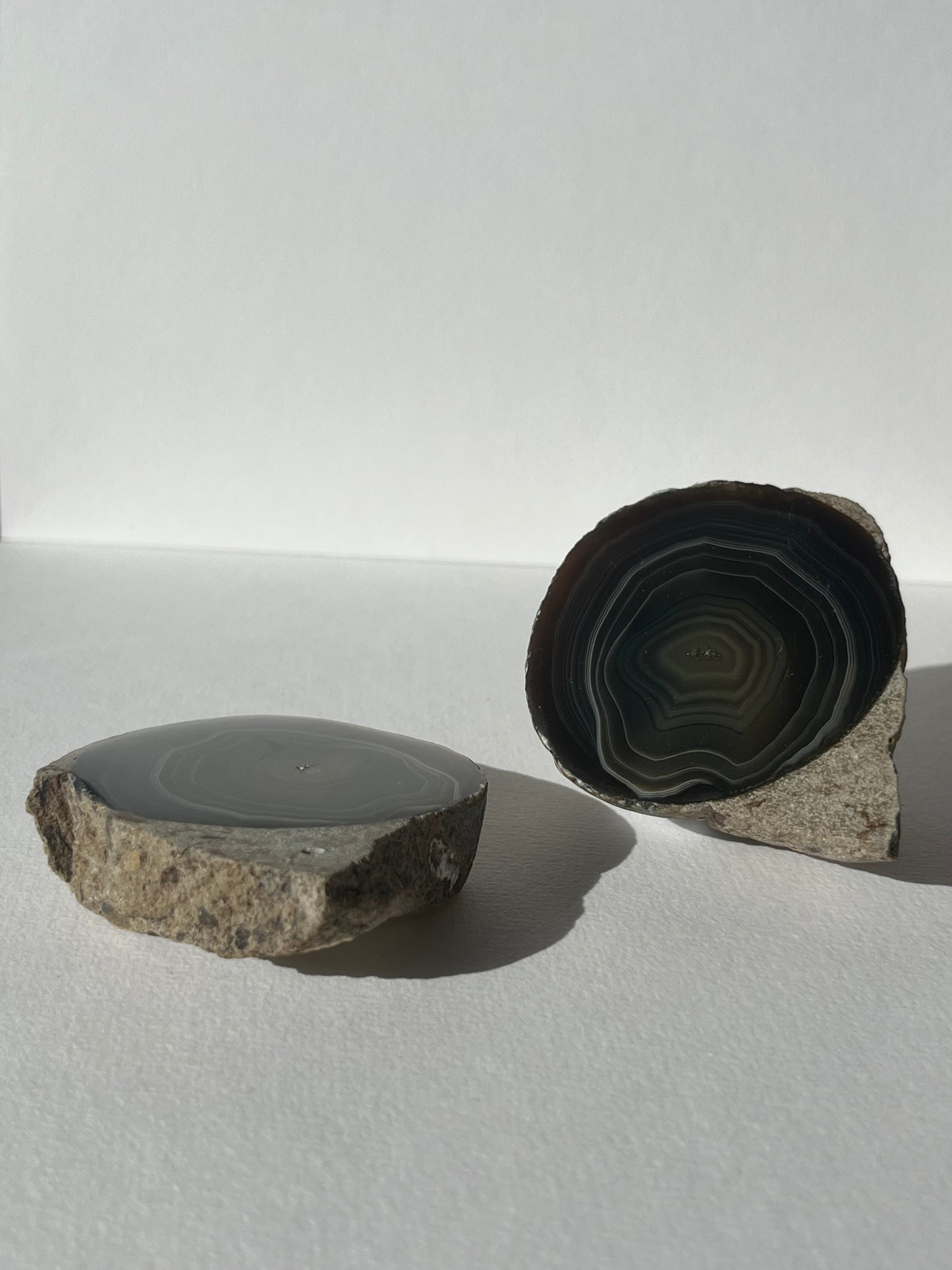 "Wise Eyes" East Indonesian Agate in Situ Host Rock Pair B (Collector's Choice)