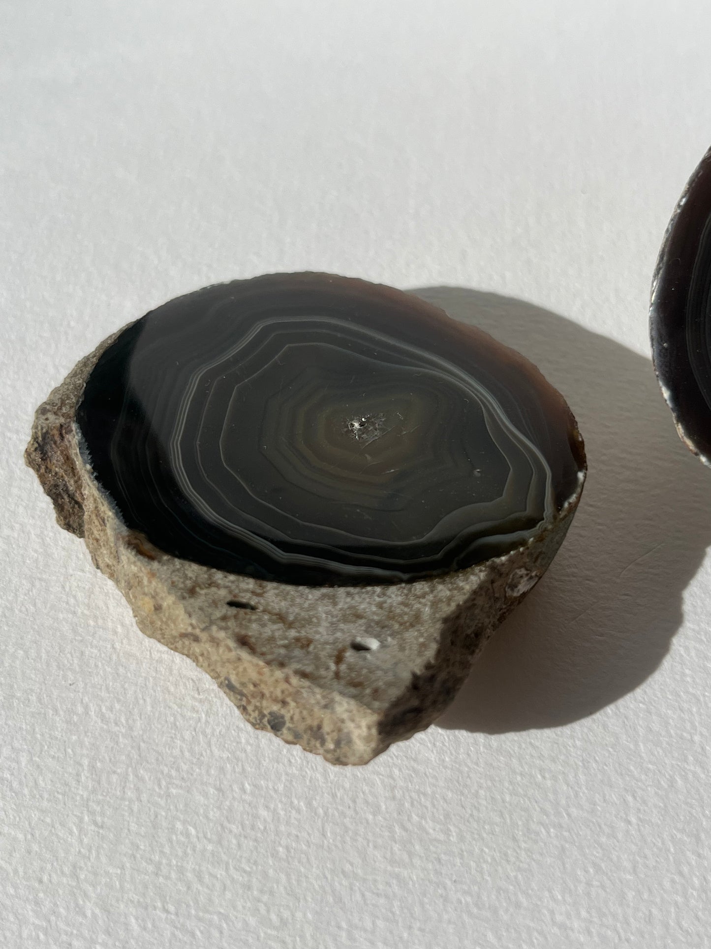 "Wise Eyes" East Indonesian Agate in Situ Host Rock Pair B (Collector's Choice)