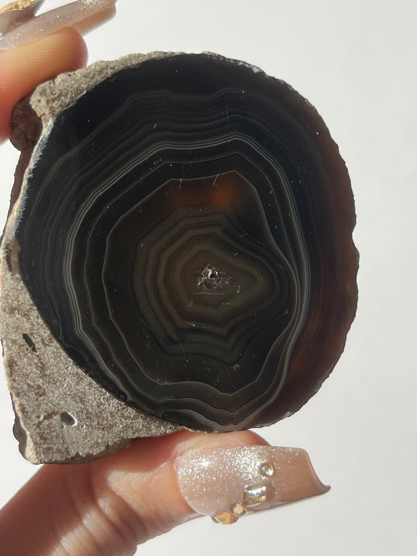 "Wise Eyes" East Indonesian Agate in Situ Host Rock Pair B (Collector's Choice)