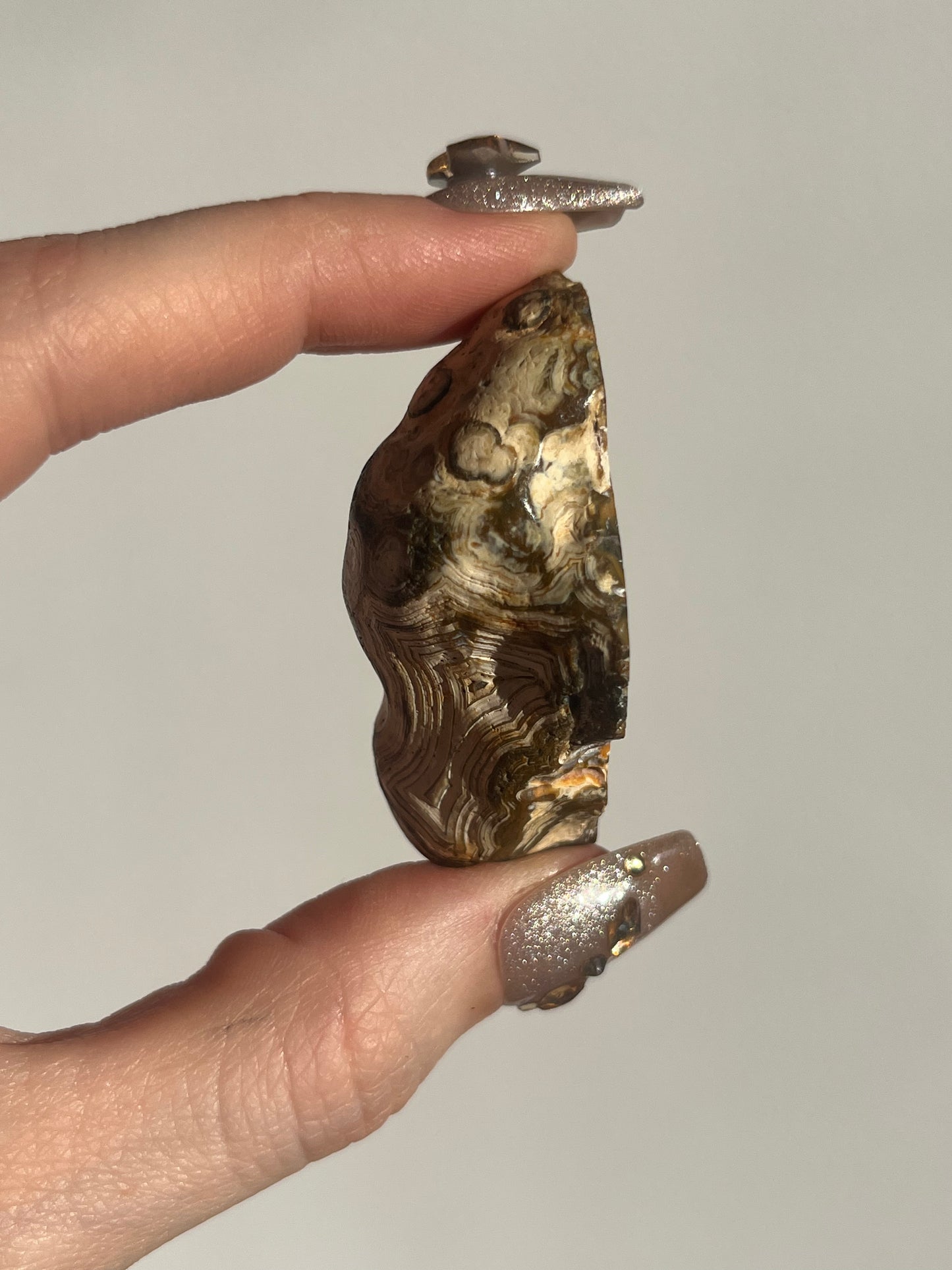 'Golden Labyrinth' West Indonesian Translucent Yellow-Brown Agate Pair E
