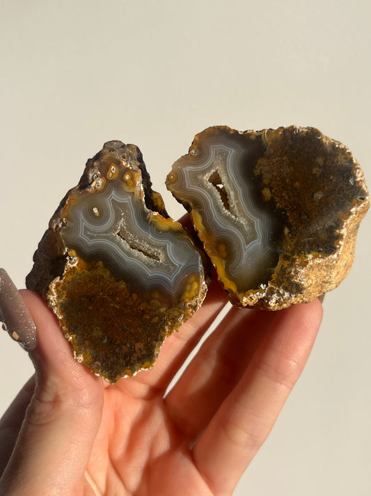 'Timber-Veil' West Indonesian River Agate Pair with Moss Inclusions H