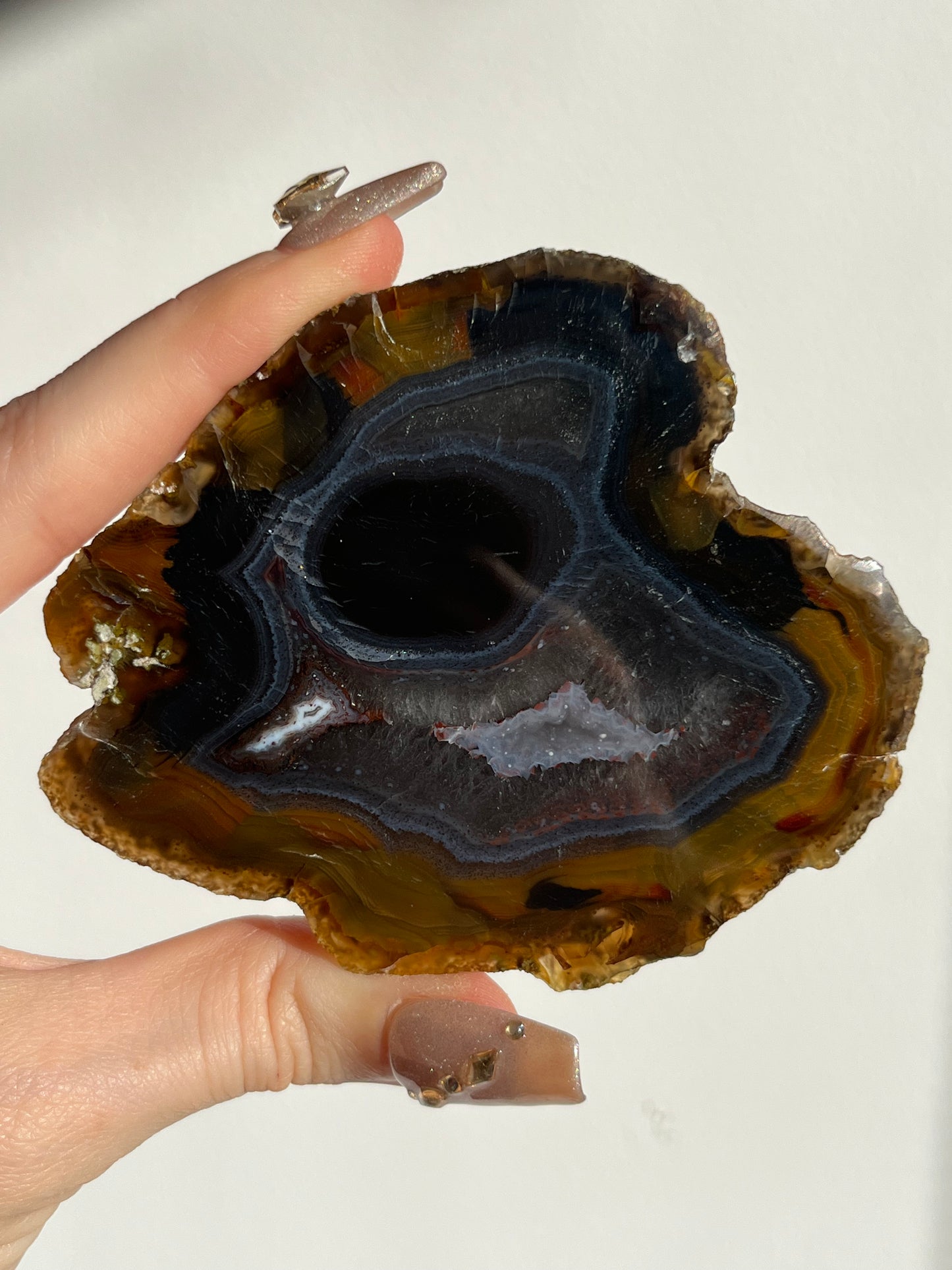 “Event Horizon” East Indonesian Agate Specimen D