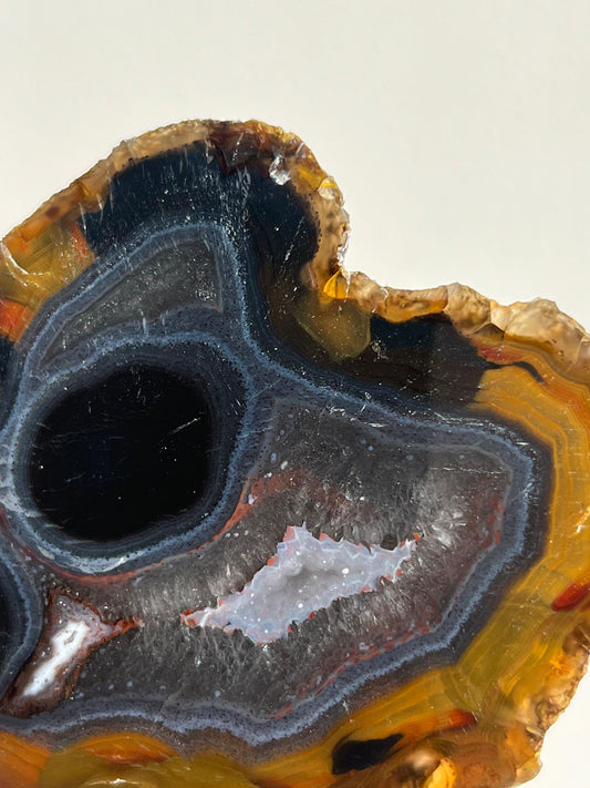 “Event Horizon” East Indonesian Agate Specimen D