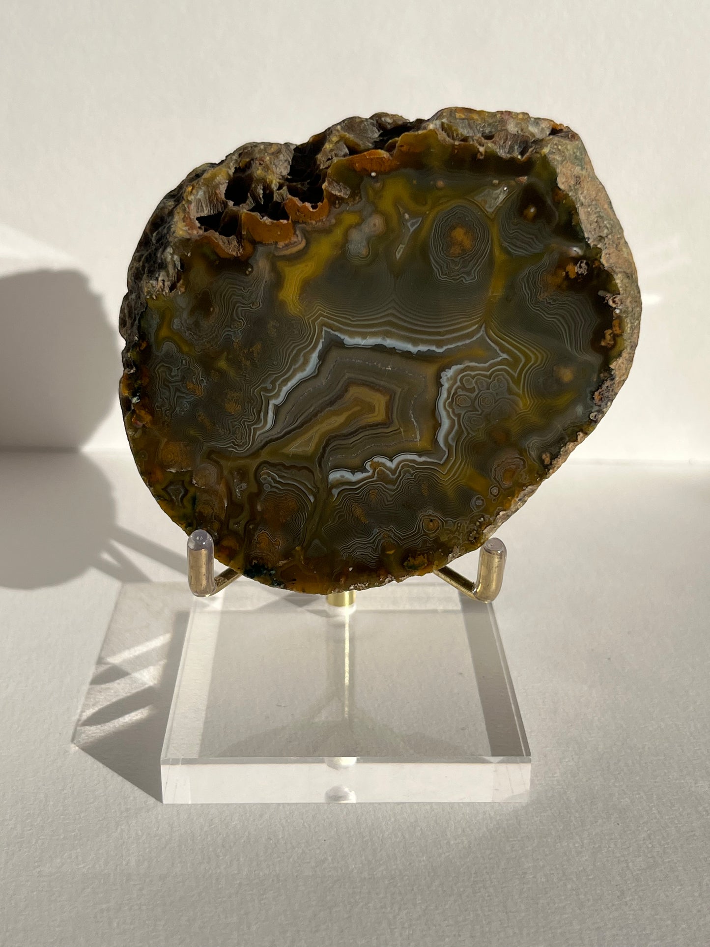 “The Kangaroo Relic” East Indonesian Agate Specimen A