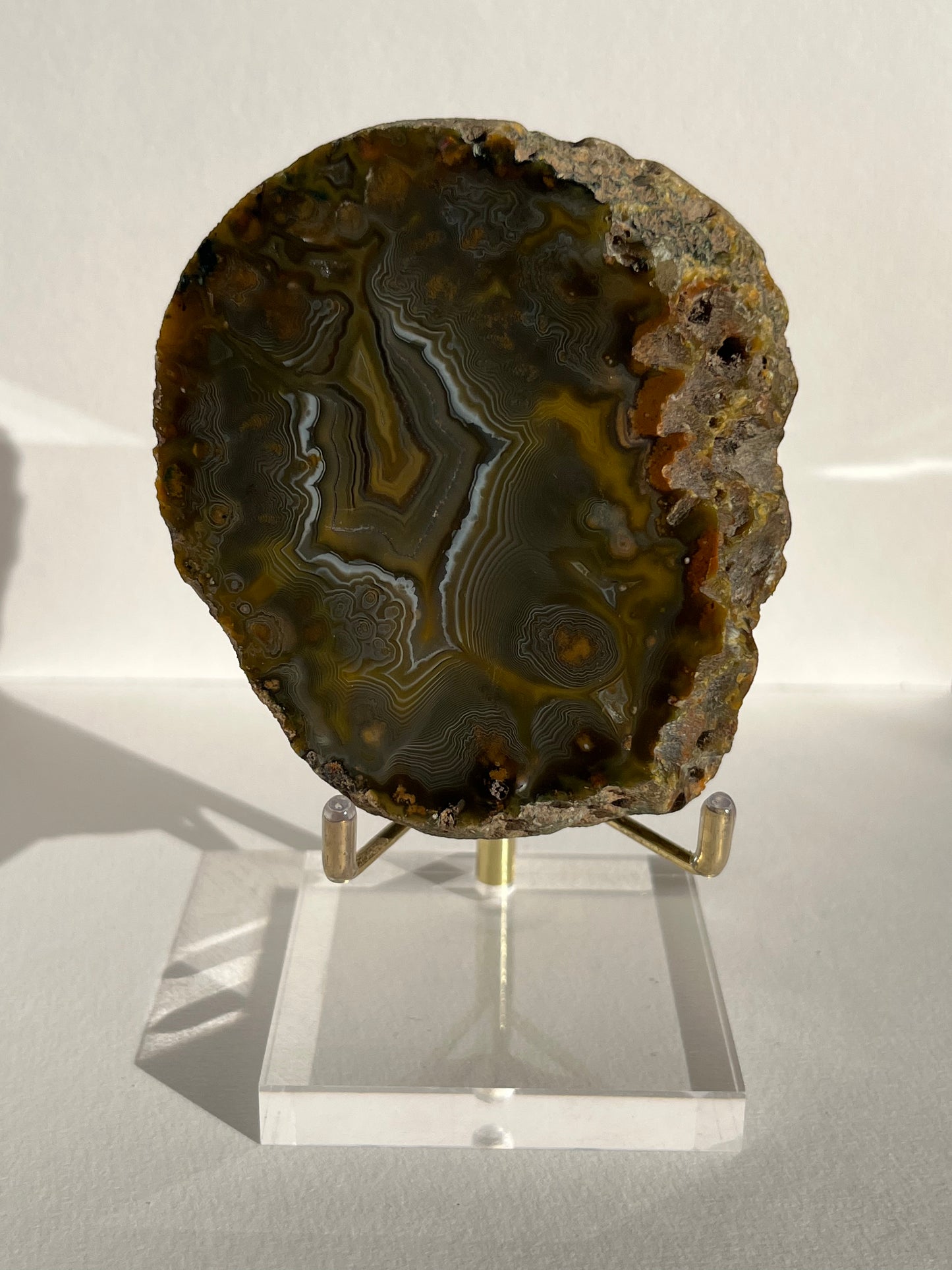 “The Kangaroo Relic” East Indonesian Agate Specimen A