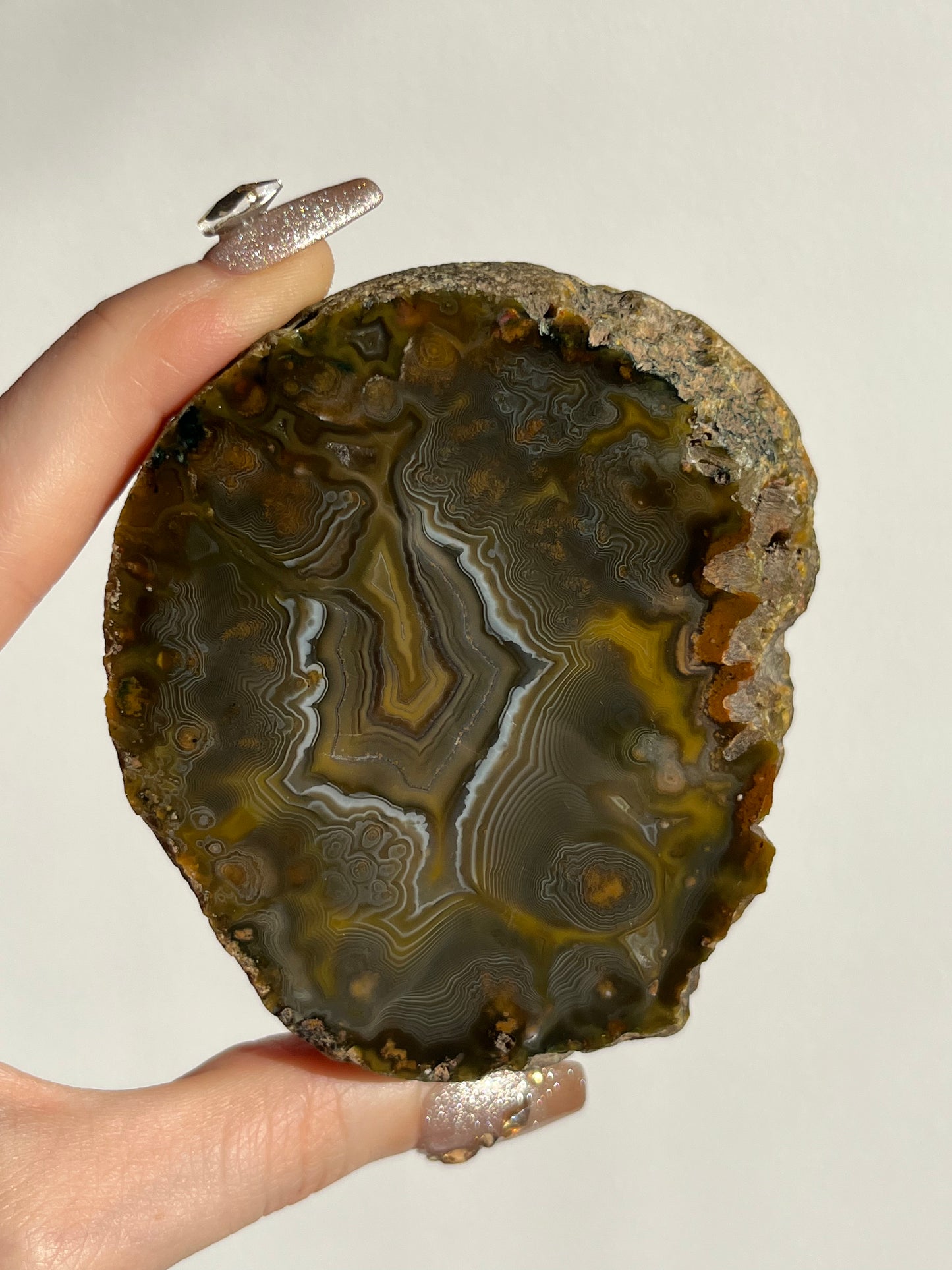 “The Kangaroo Relic” East Indonesian Agate Specimen A