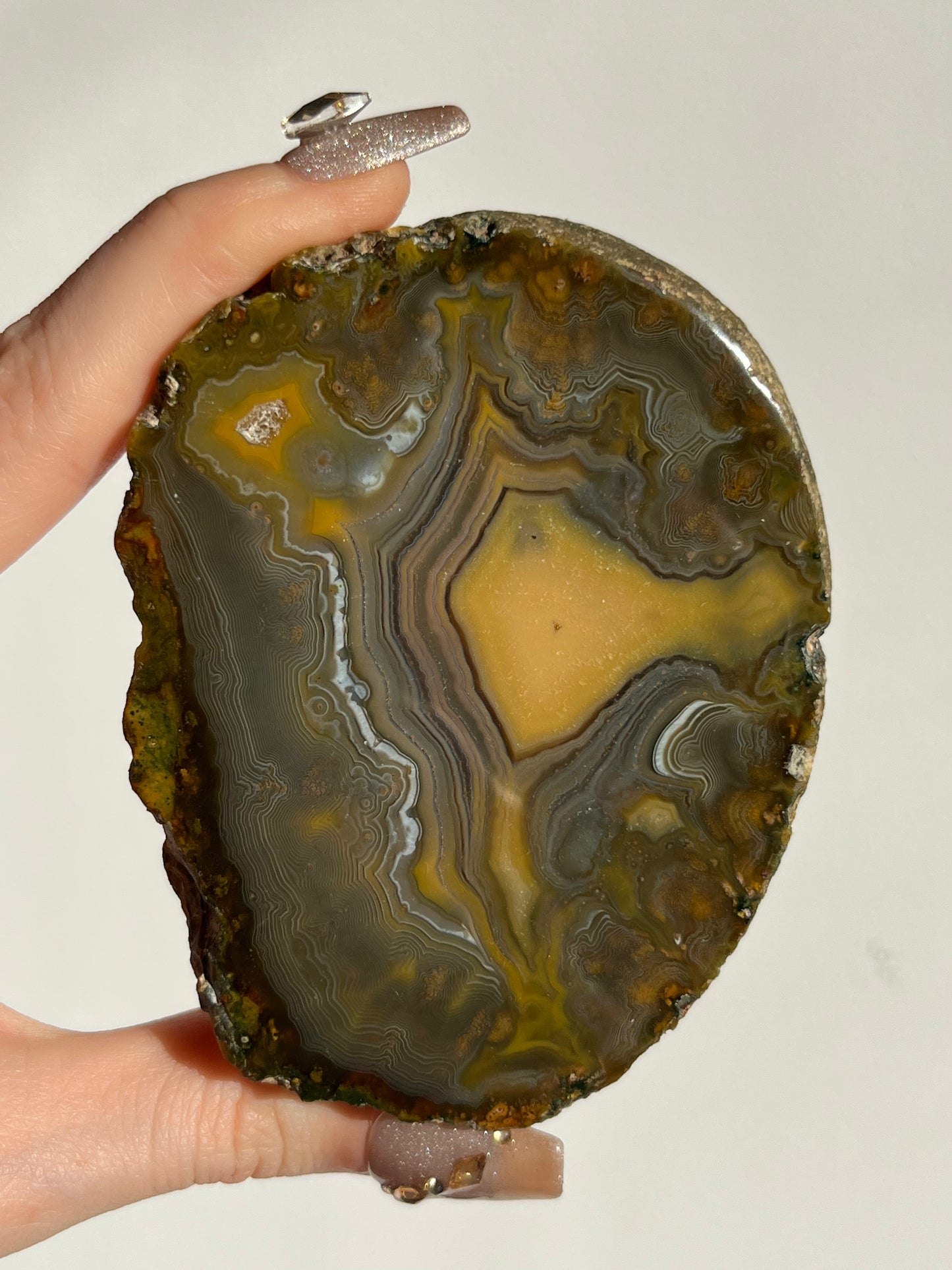 “The Kangaroo Relic” East Indonesian Agate Specimen A