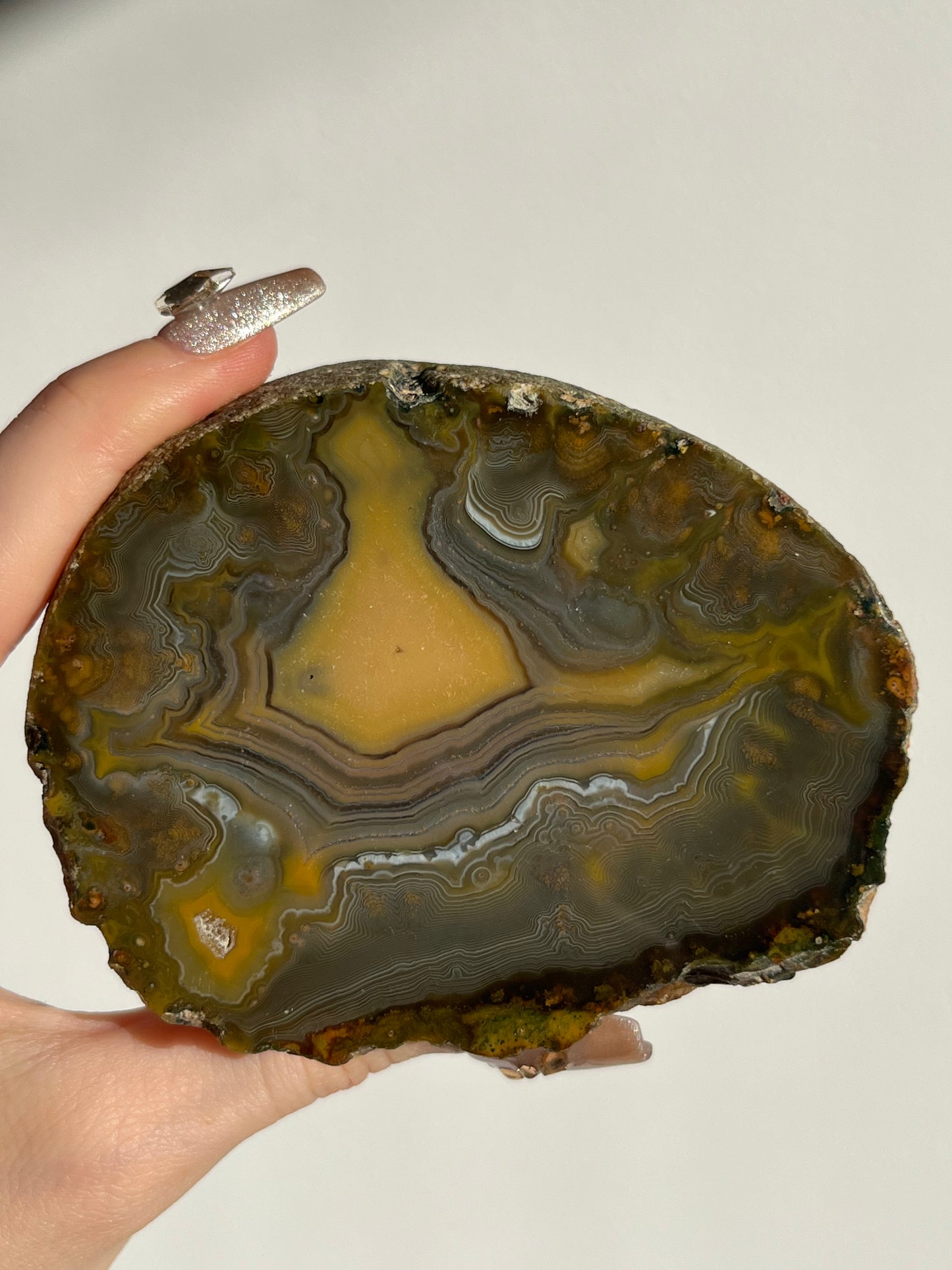 “The Kangaroo Relic” East Indonesian Agate Specimen A