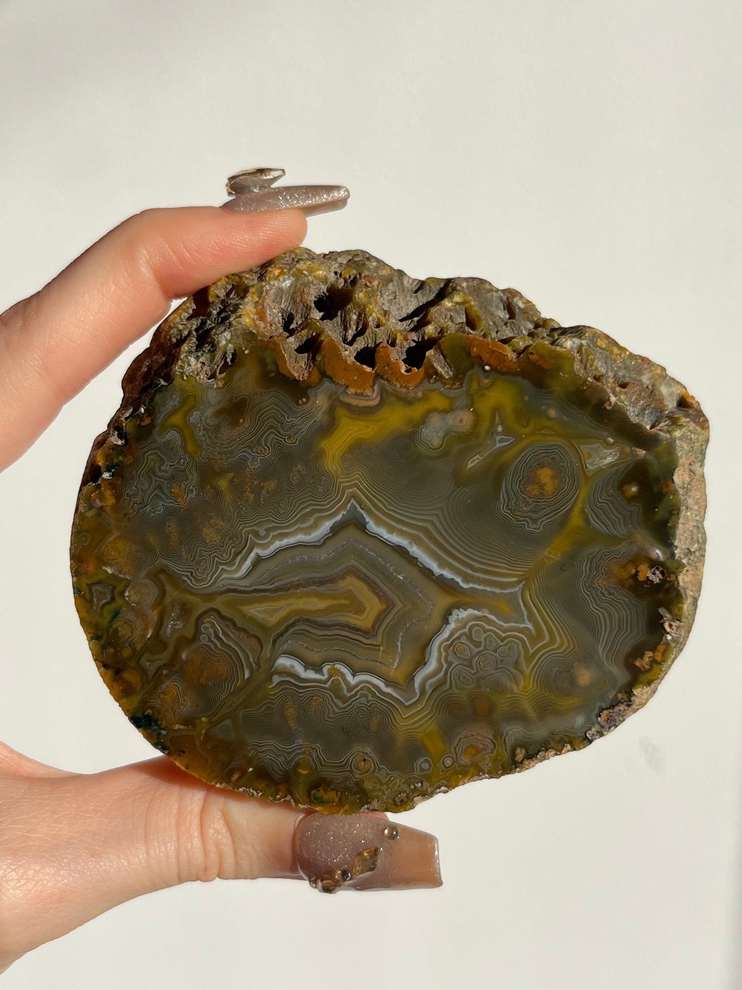 “The Kangaroo Relic” East Indonesian Agate Specimen A