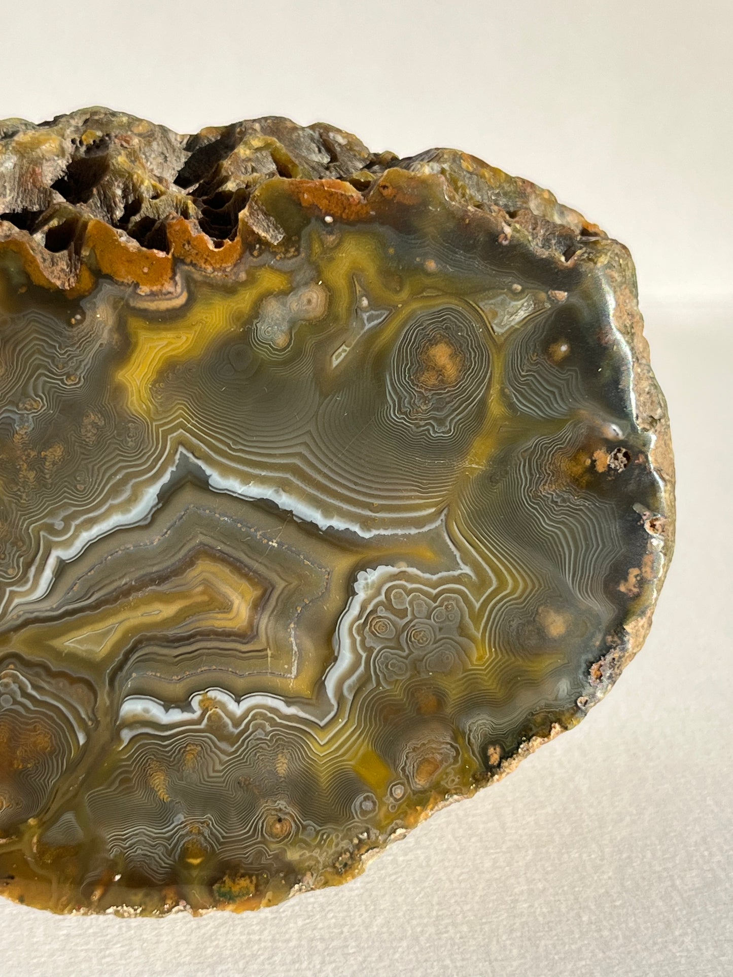 “The Kangaroo Relic” East Indonesian Agate Specimen A