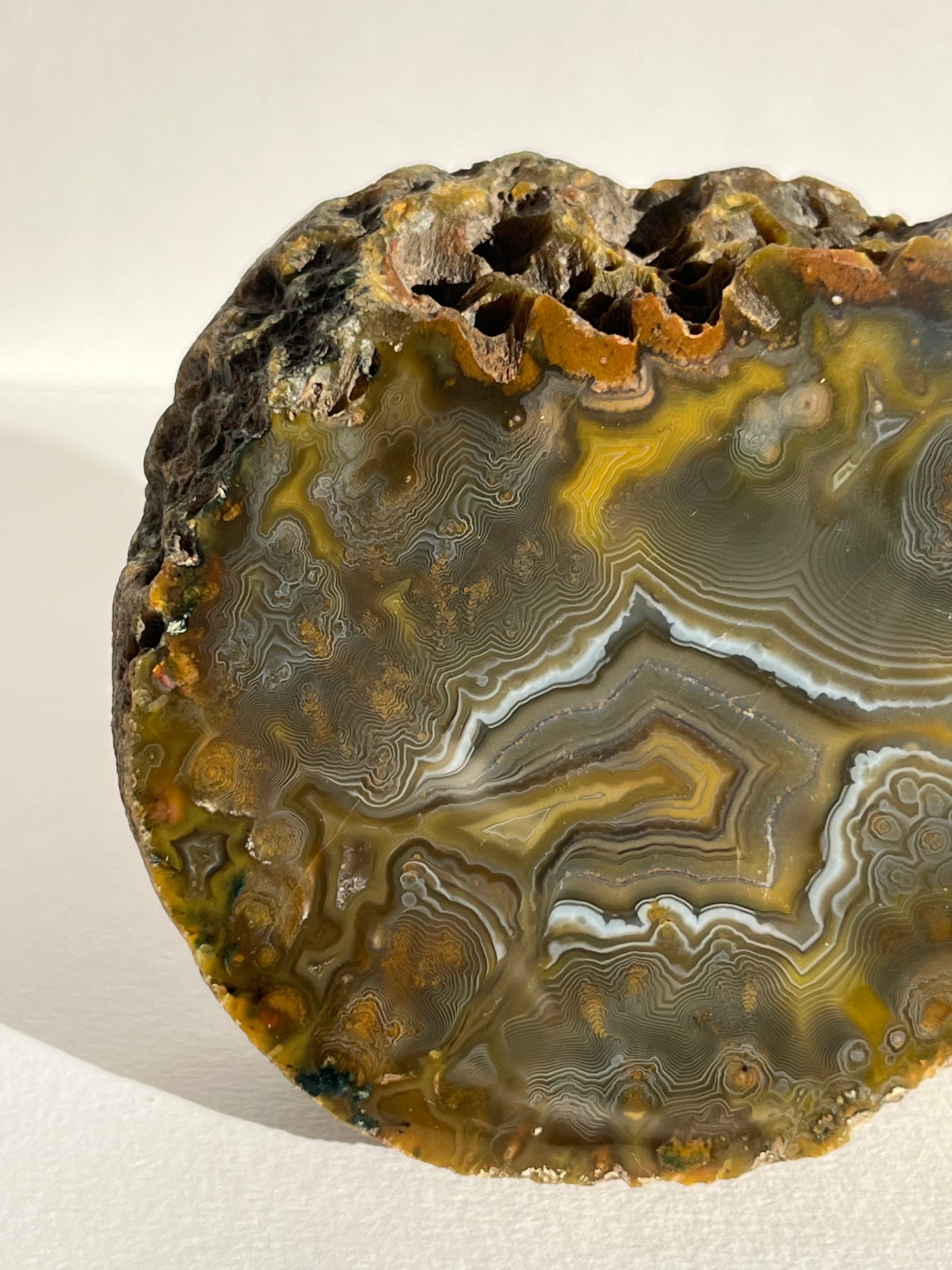 “The Kangaroo Relic” East Indonesian Agate Specimen A