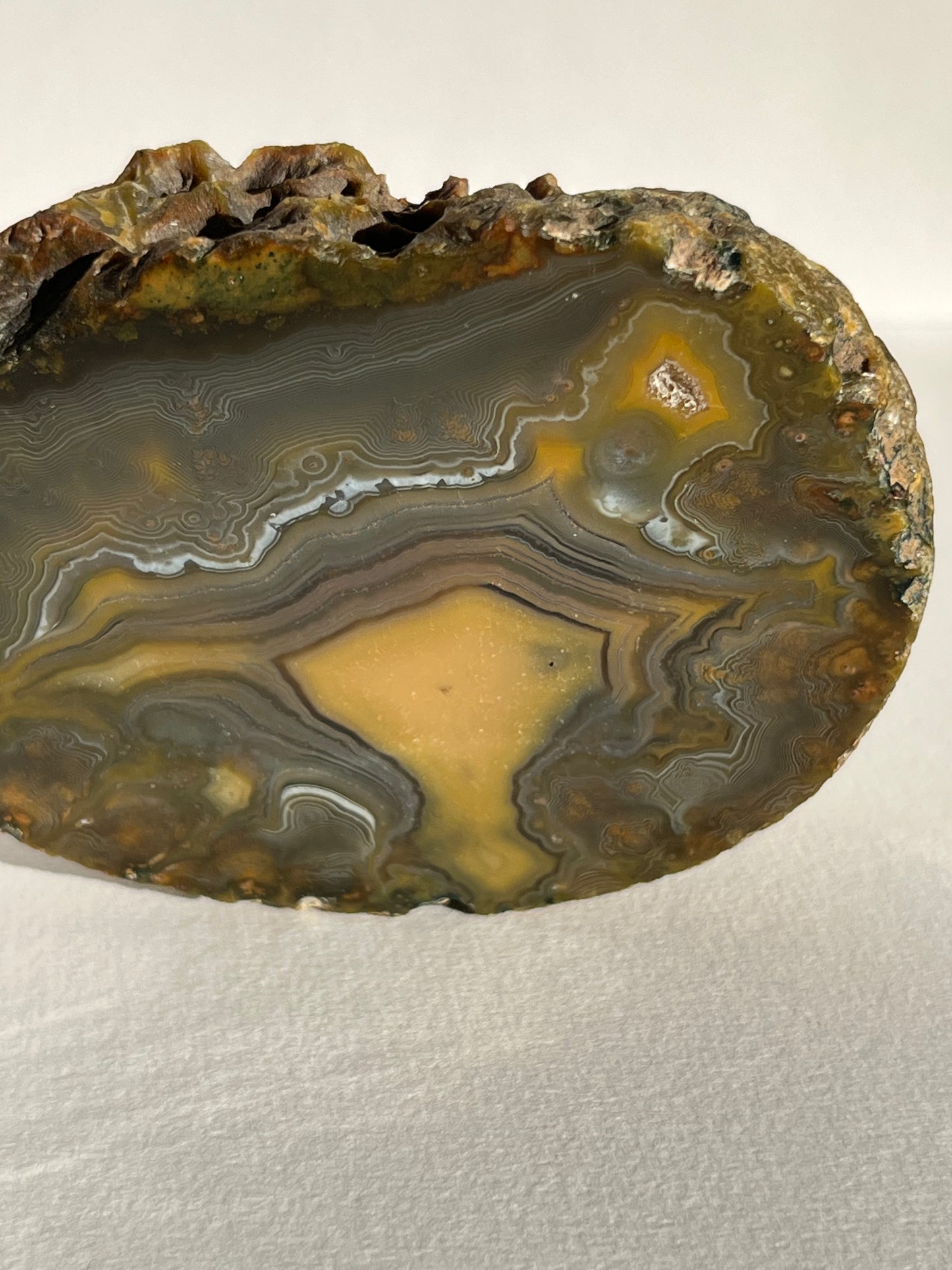 “The Kangaroo Relic” East Indonesian Agate Specimen A