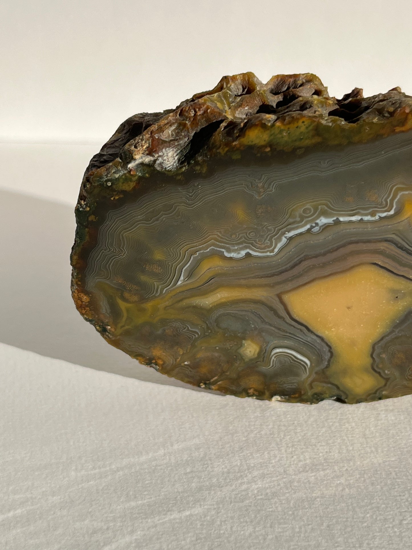“The Kangaroo Relic” East Indonesian Agate Specimen A