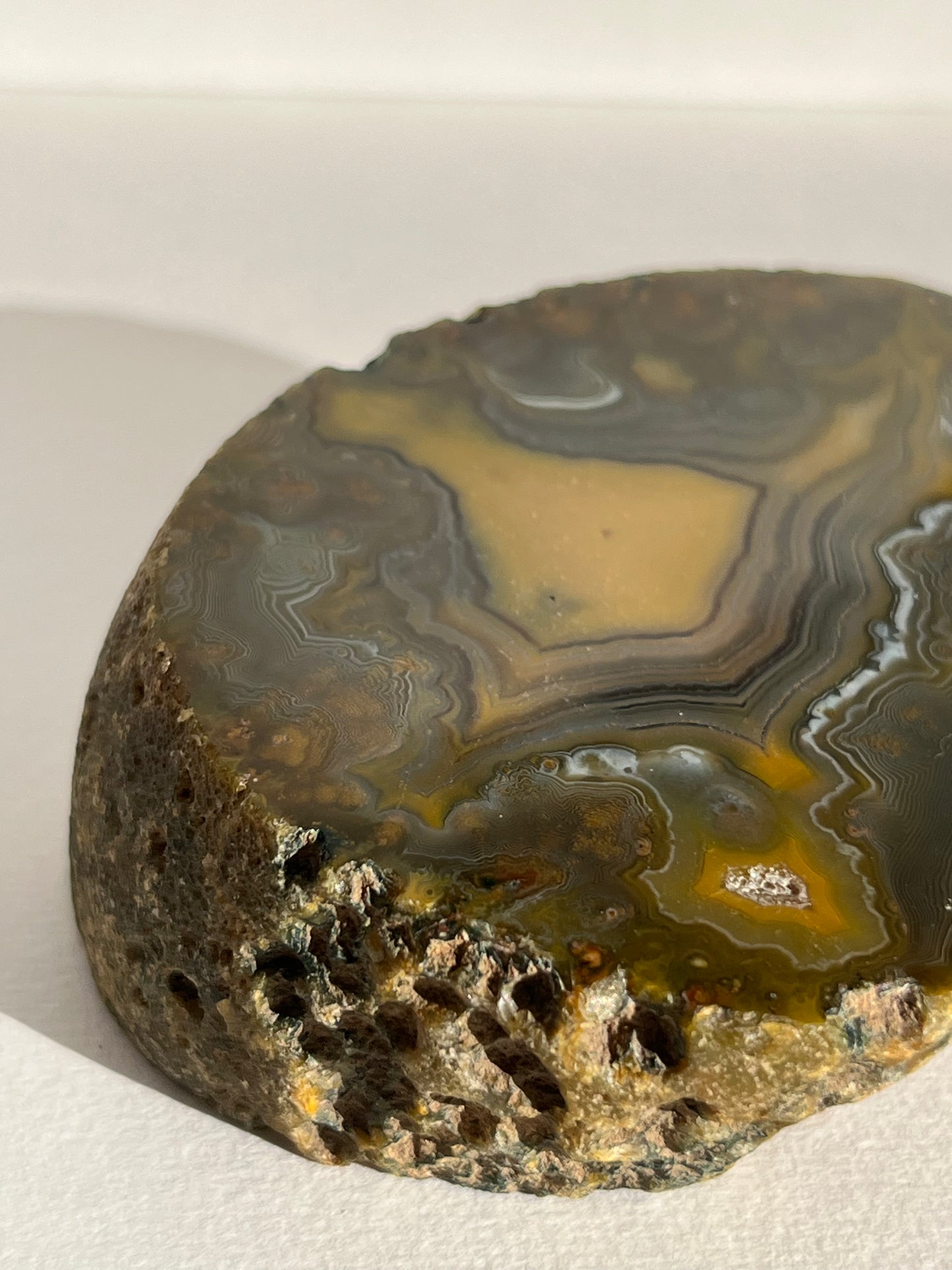 “The Kangaroo Relic” East Indonesian Agate Specimen A