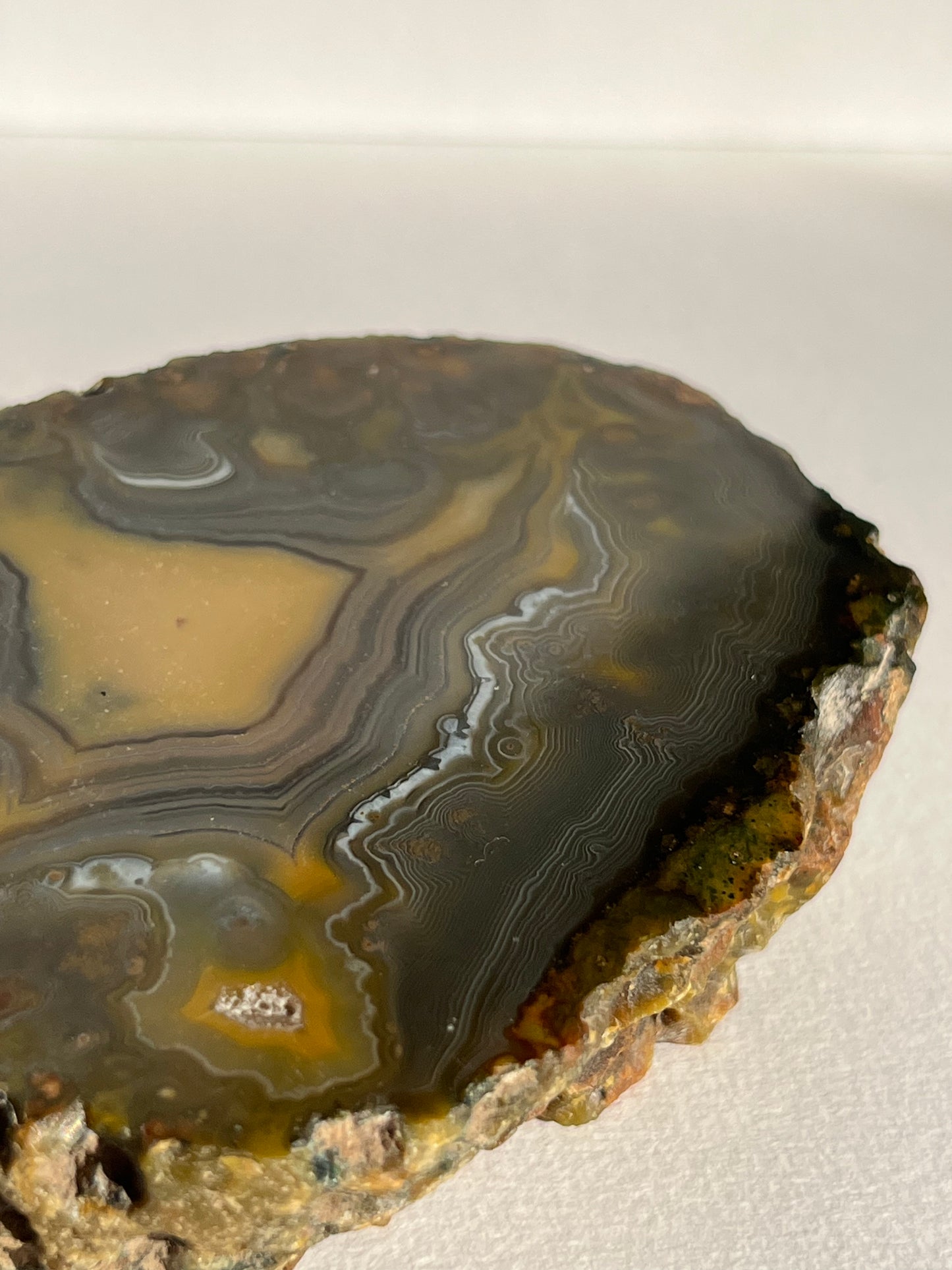 “The Kangaroo Relic” East Indonesian Agate Specimen A