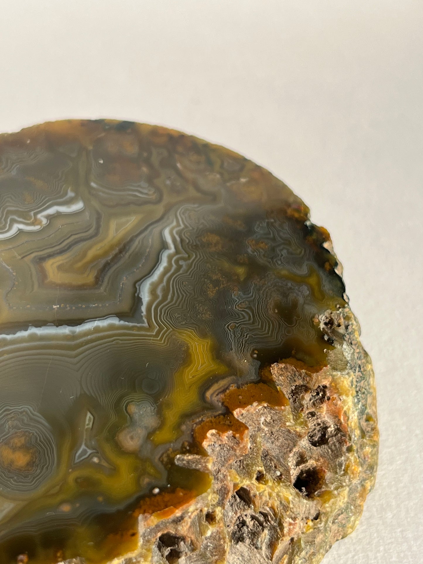 “The Kangaroo Relic” East Indonesian Agate Specimen A