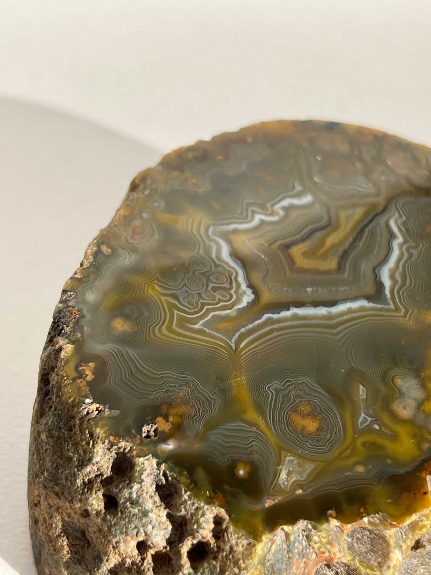 “The Kangaroo Relic” East Indonesian Agate Specimen A