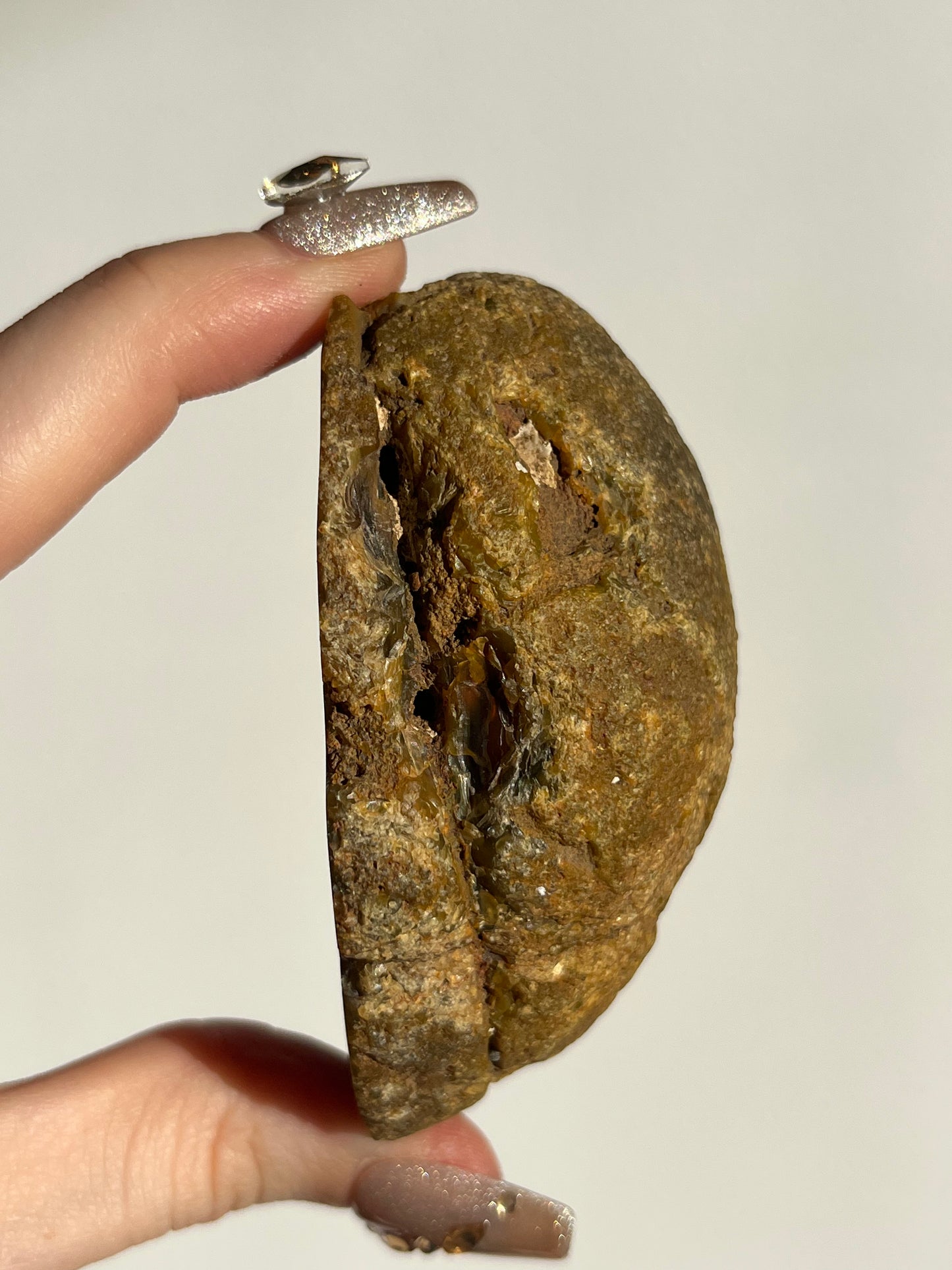 “The Last Ember” East Indonesian Agate Specimen C