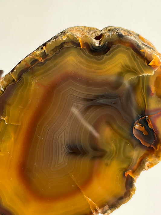 “The Last Ember” East Indonesian Agate Specimen C