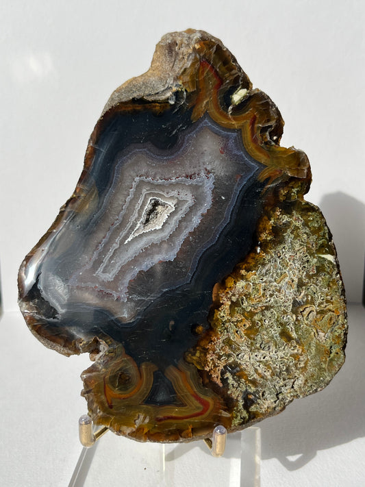 East Indonesian Agate with Green Moss Slab C with Display Stand