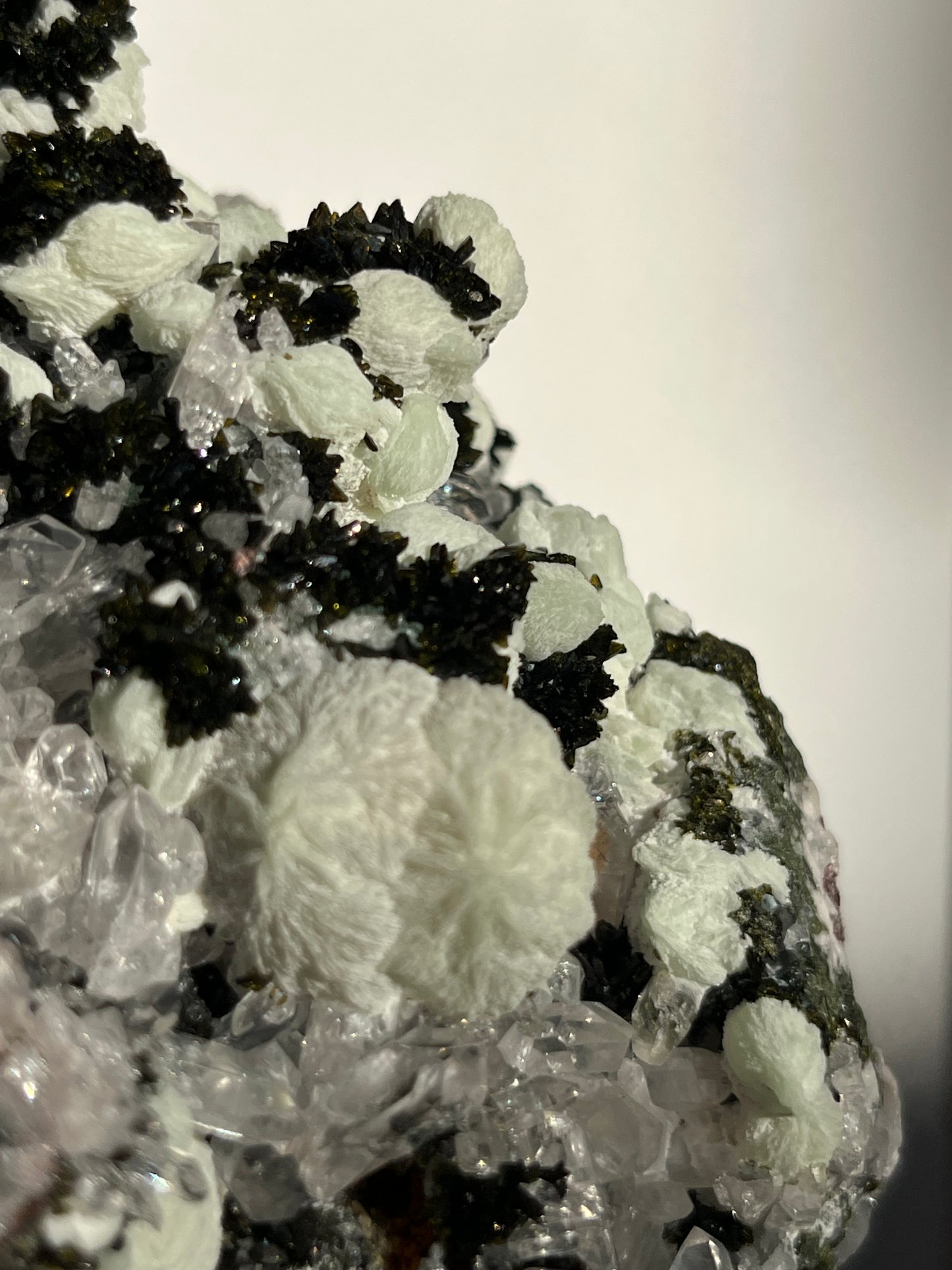 ‘Immortal Grove’ Epidote with Quartz and Prehnite Specimen G