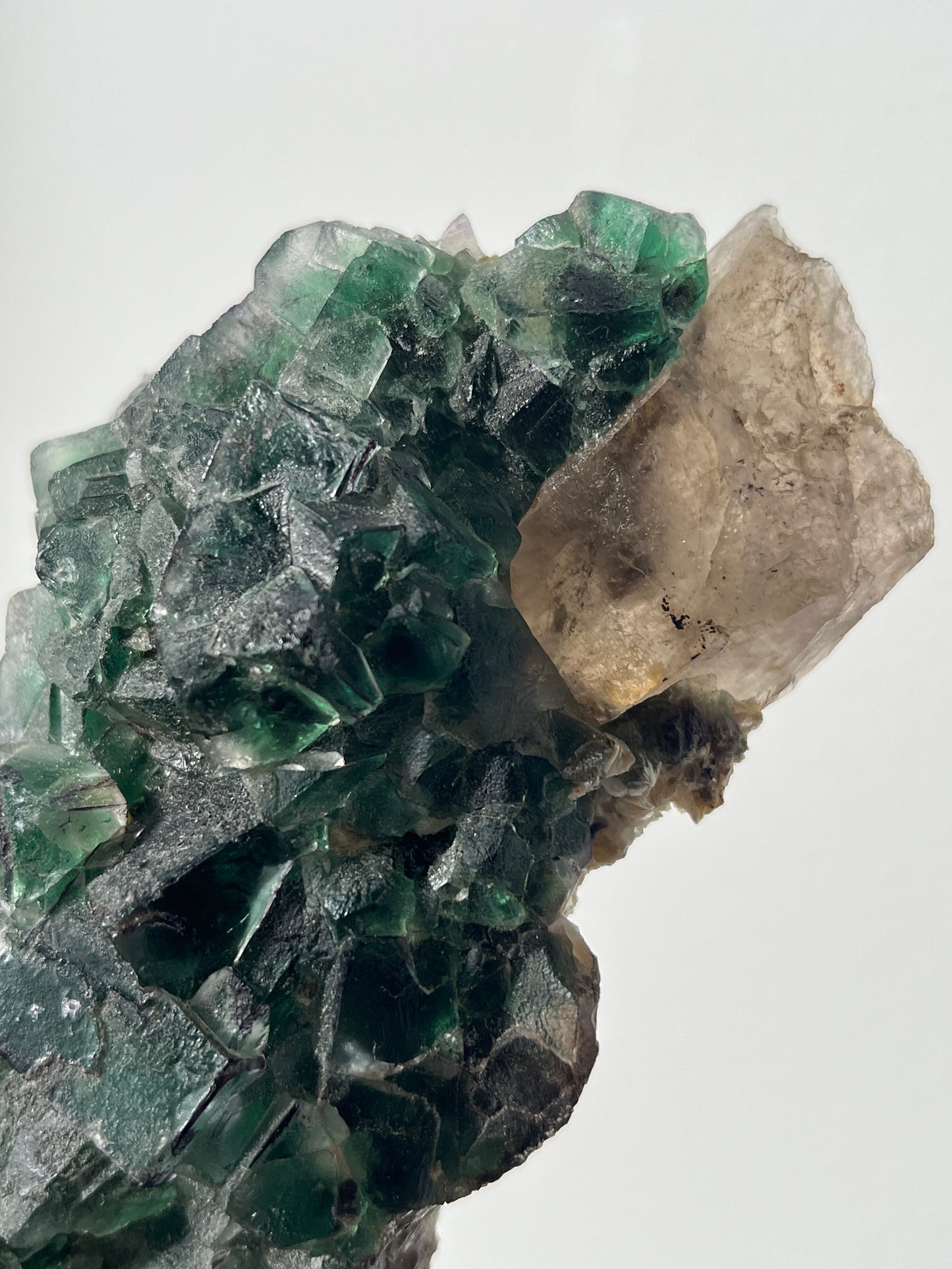 Green Erongo Fluorite with Quartz and Muscovite Specimen B