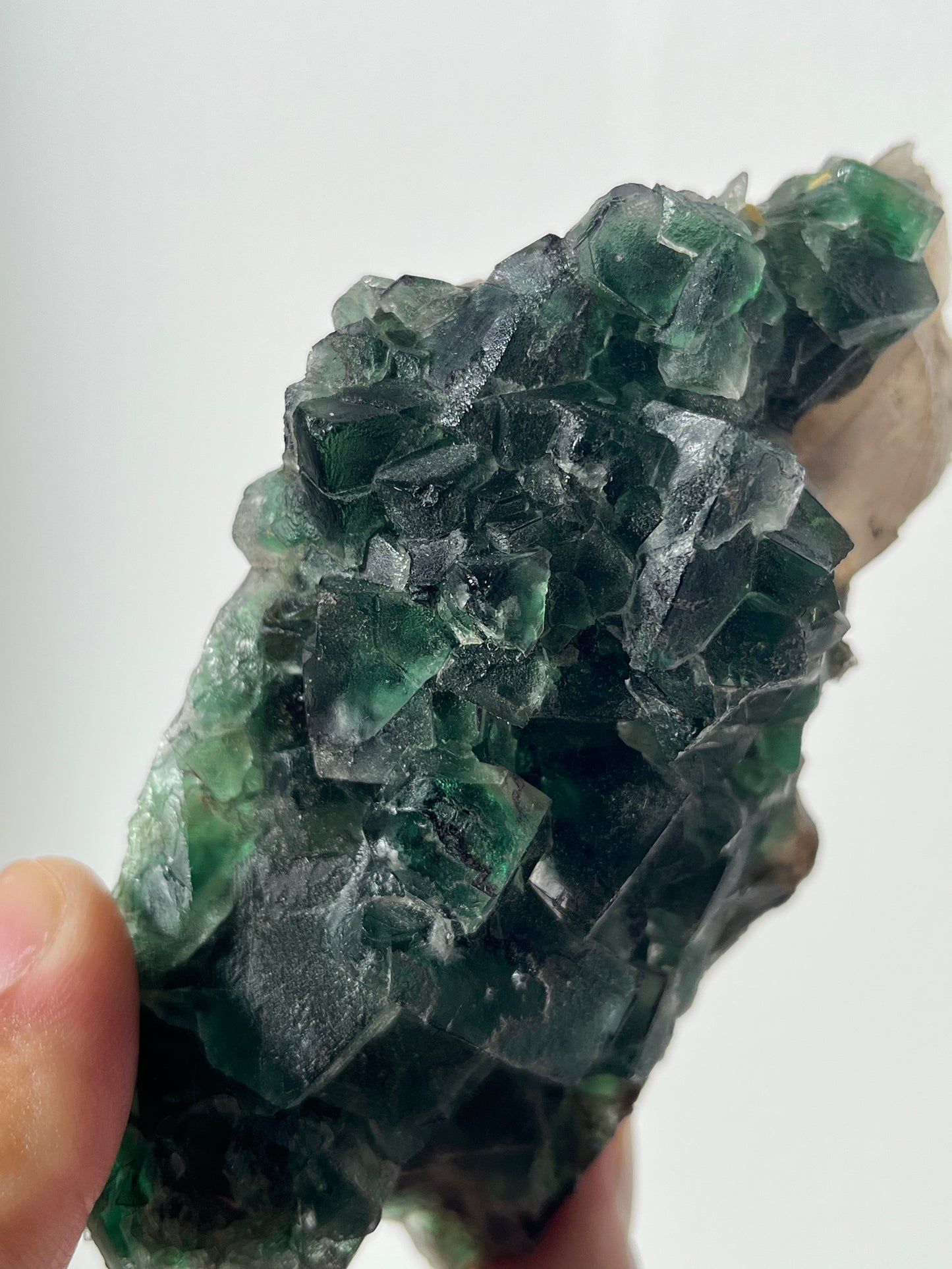 Green Erongo Fluorite with Quartz and Muscovite Specimen B
