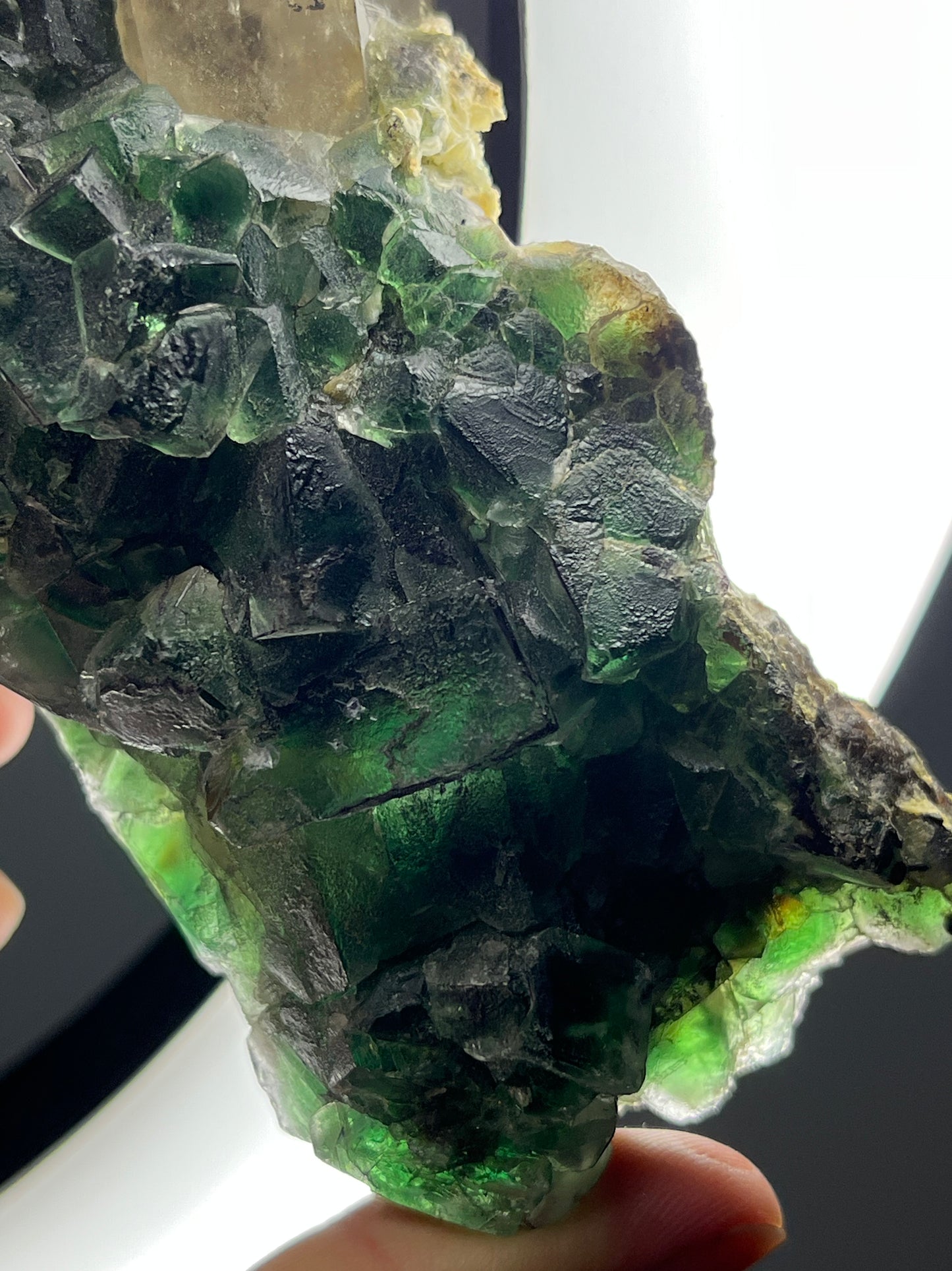 Green Erongo Fluorite with Quartz and Muscovite Specimen B