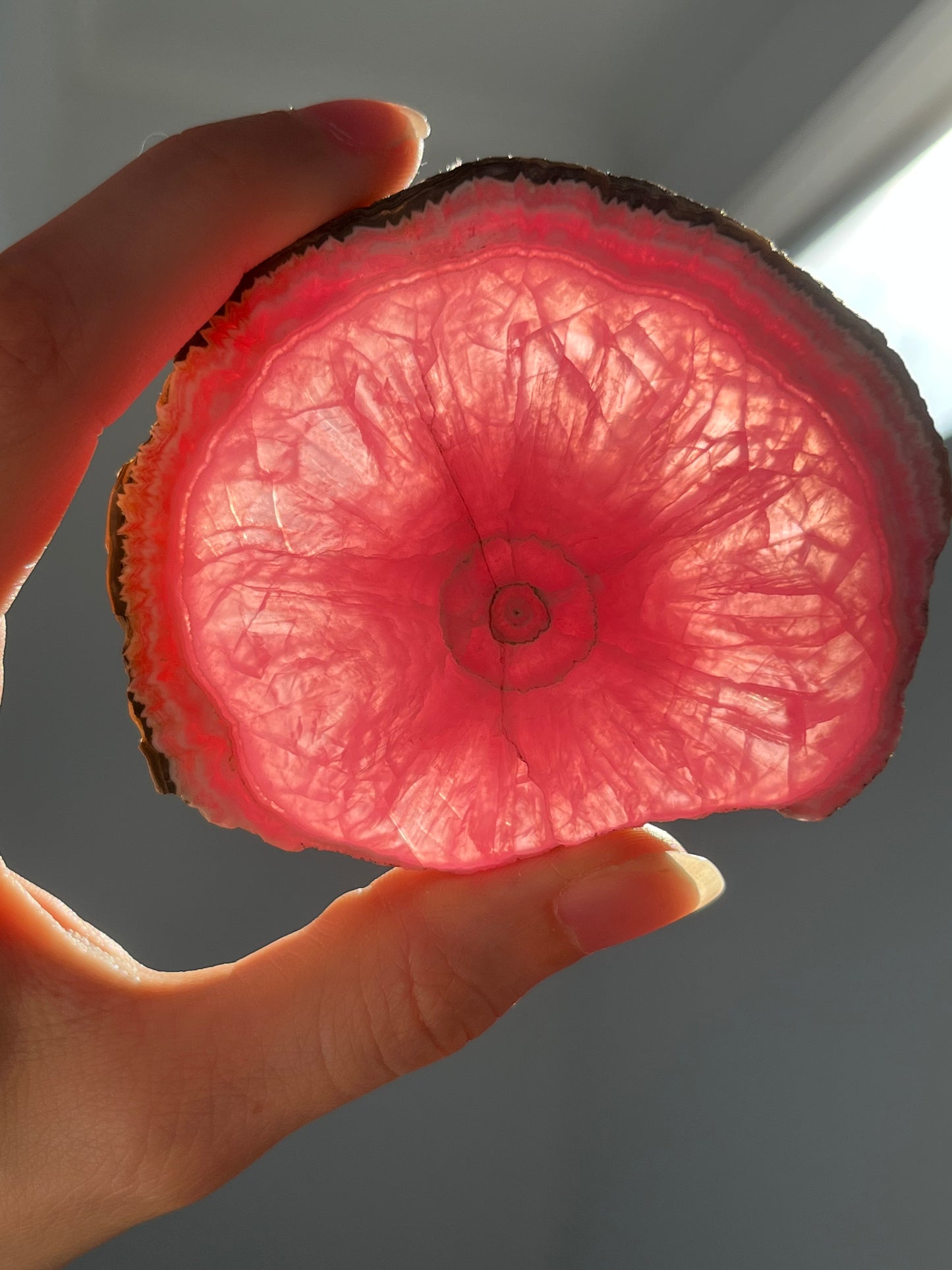 1980s Rhodochrosite Stalactite Slice (Collector’s Specimen)