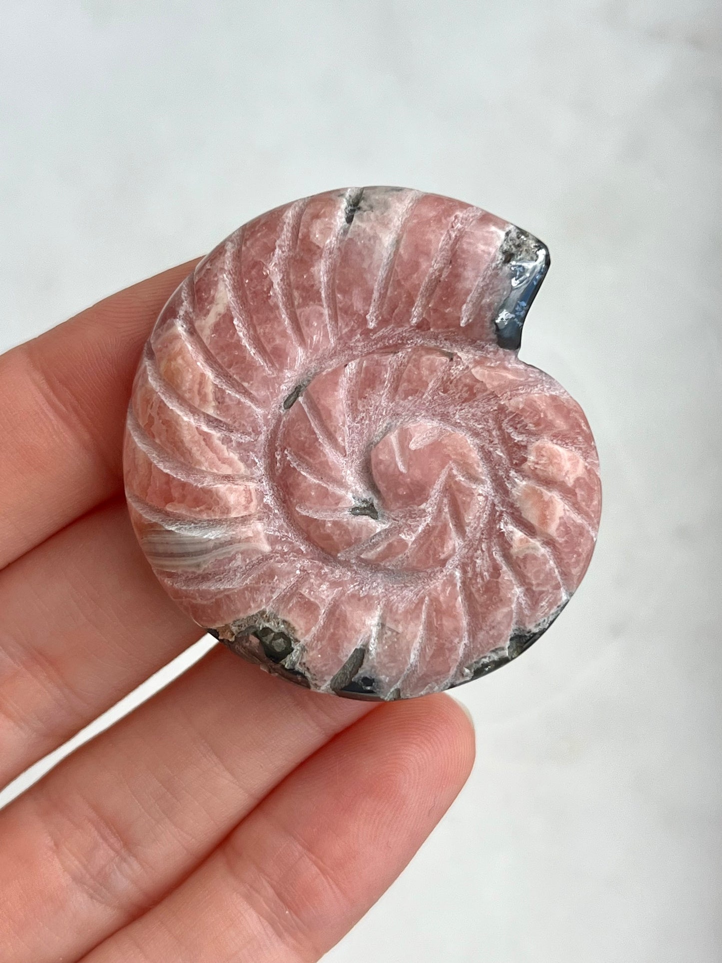 “Imperial” Rhodochrosite Ammonite Carving w/Manganese Ore Flower Pattern