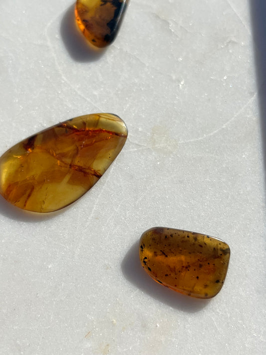 Amber Specimen (Intuitively Selected)