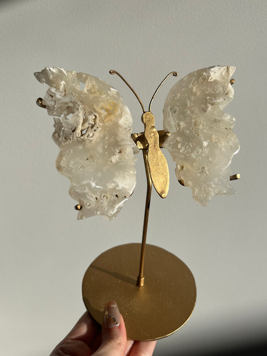 Druzy Flower Agate Butterfly Wings on Gold Stand A