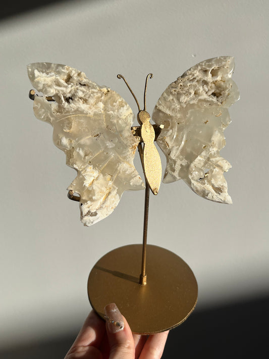 Druzy Flower Agate Butterfly Wings on Gold Stand B