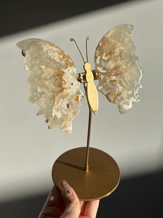 Druzy Flower Agate Butterfly Wings on Gold Stand C