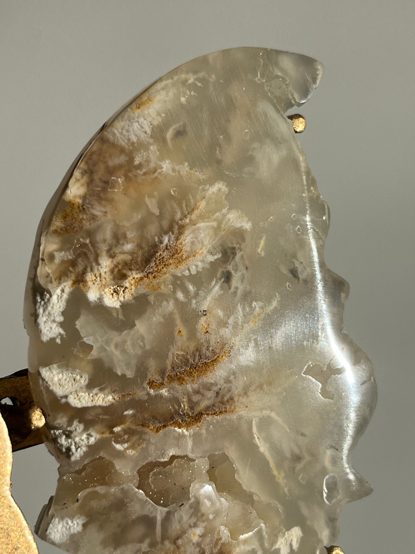 Druzy Flower Agate Butterfly Wings on Gold Stand C